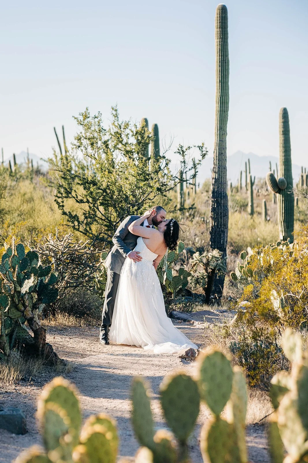 intimate-wedding-tucson-mountain-park-51.jpg