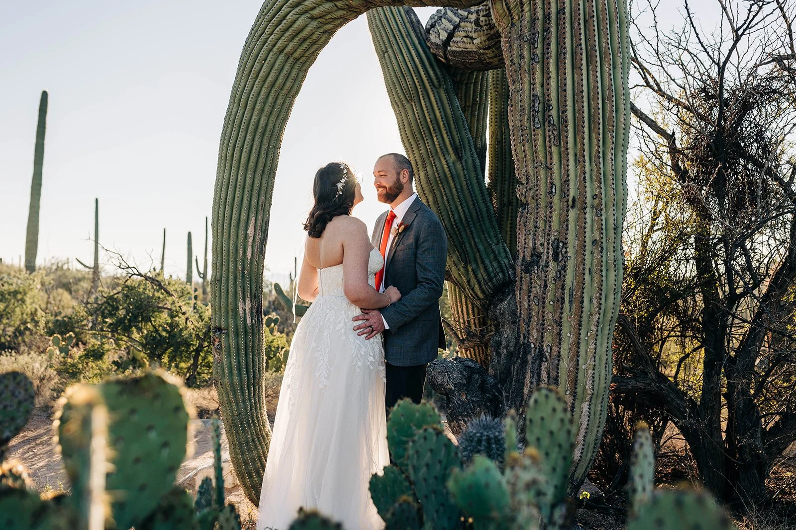 intimate-wedding-tucson-mountain-park-57.jpg