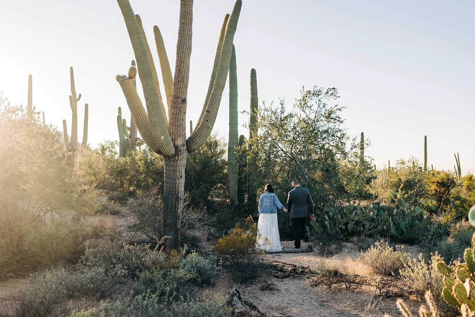 intimate-wedding-tucson-mountain-park-74.jpg