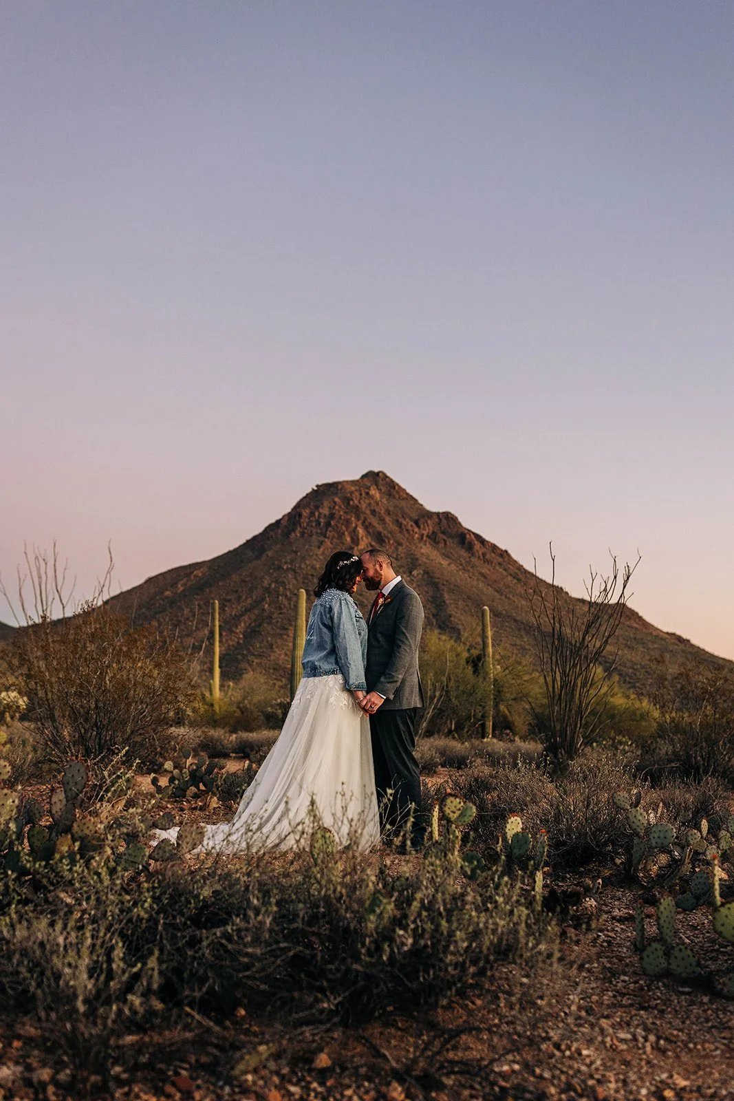 intimate-wedding-tucson-mountain-park-112.jpg