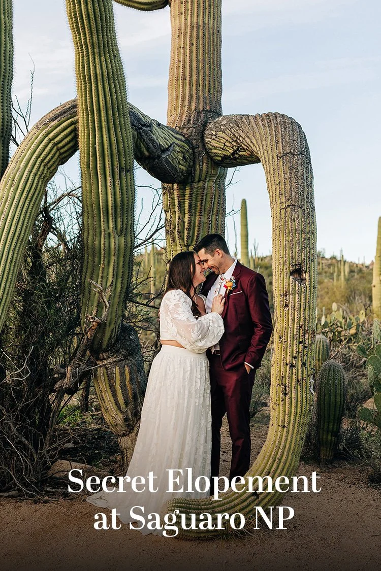 how-elope-saguaro-stories-5.jpg
