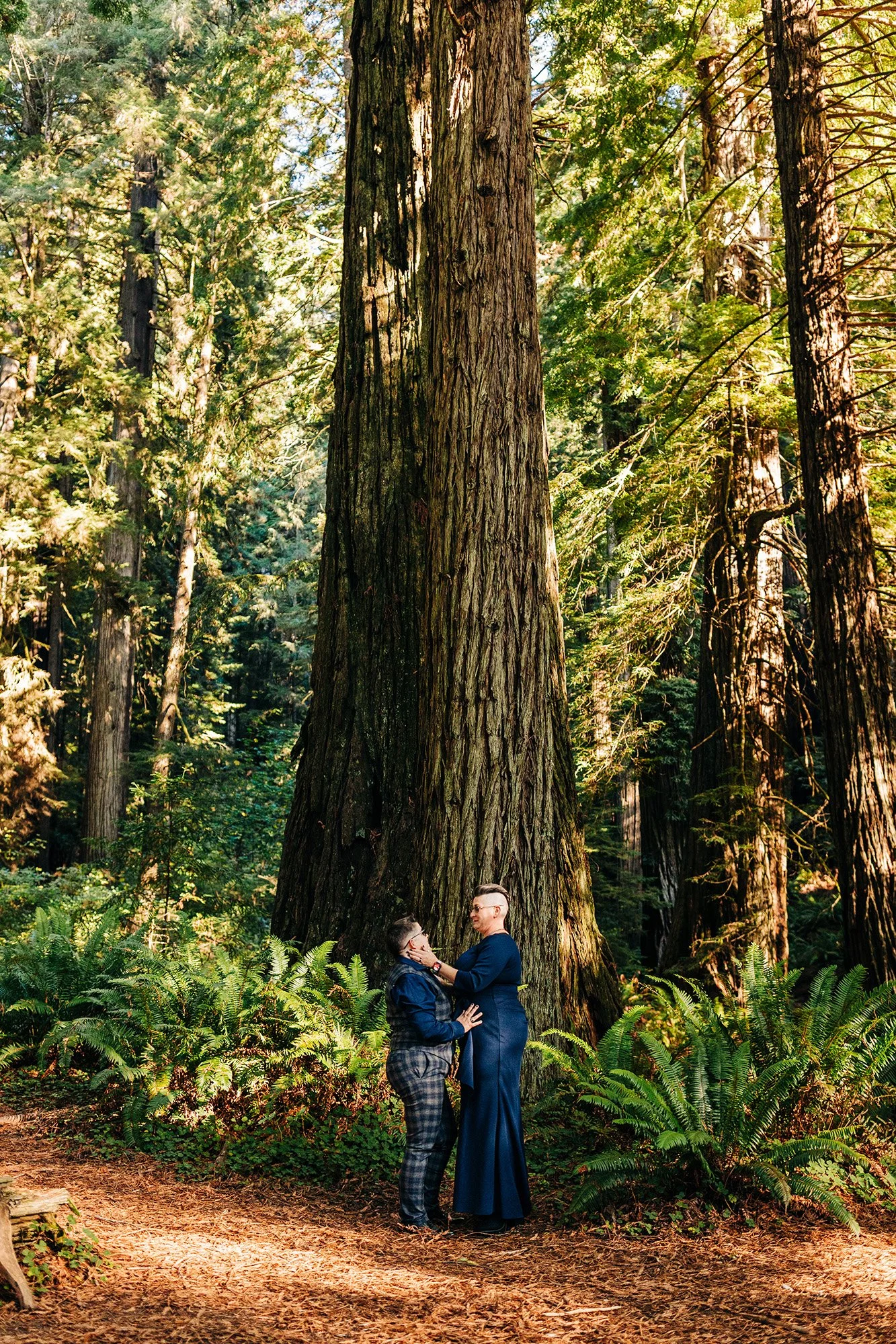 river-redwoods-elopement-crescent-city-106.jpg