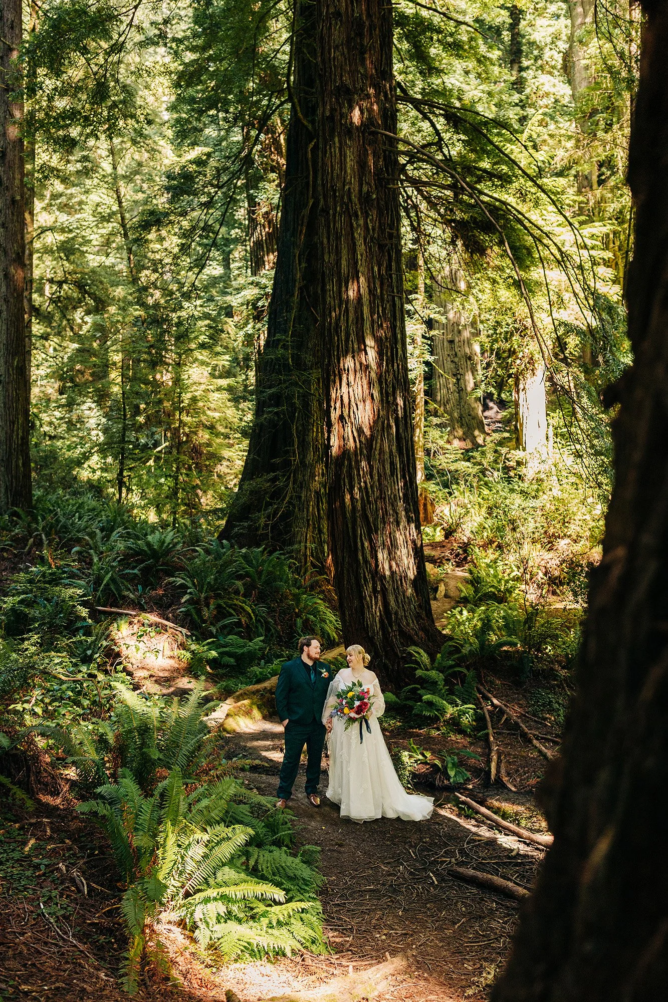 redwoods-micro-wedding-organ-donor-grove-73.jpg