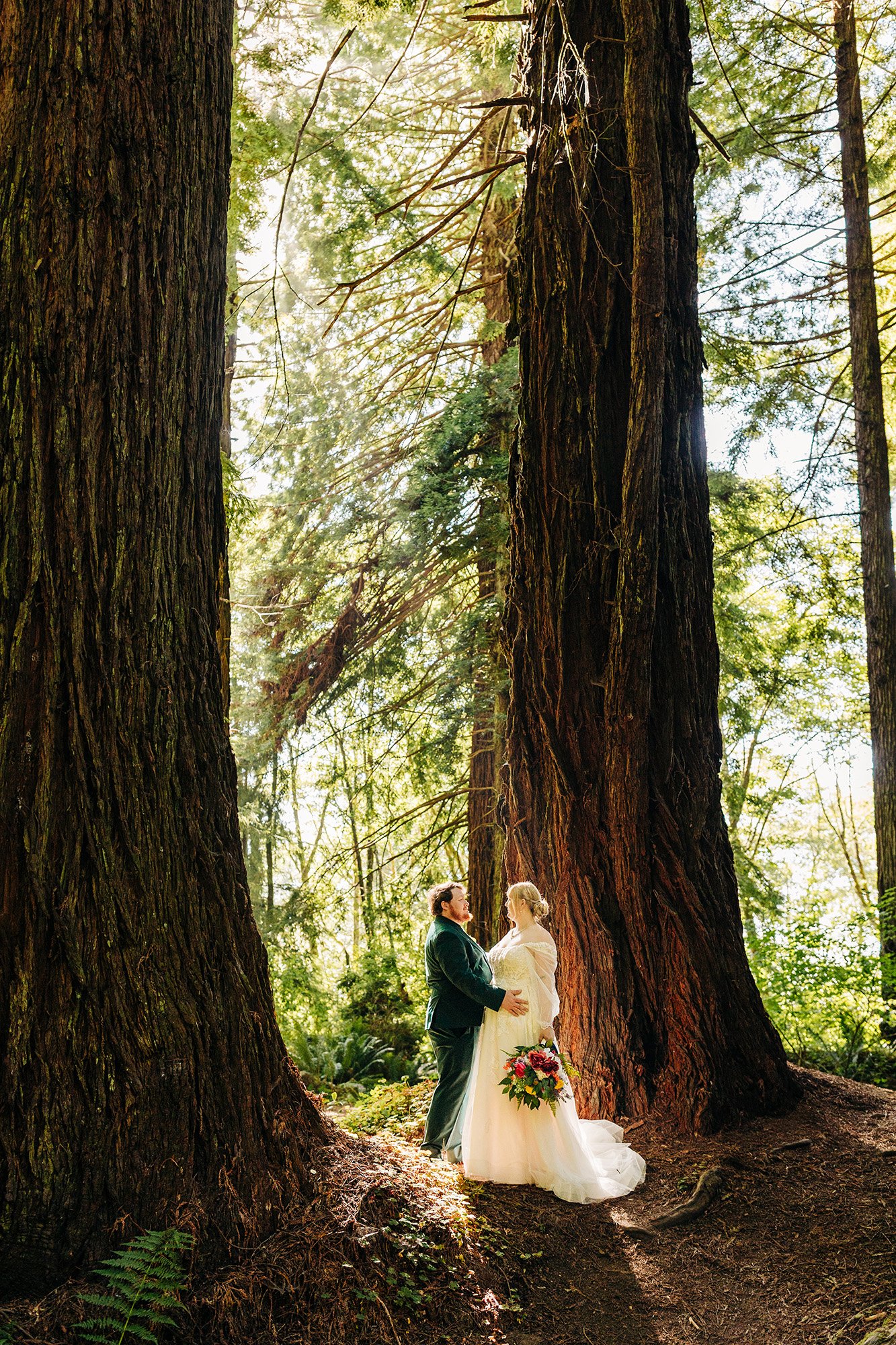 redwoods-micro-wedding-organ-donor-grove-78.jpg