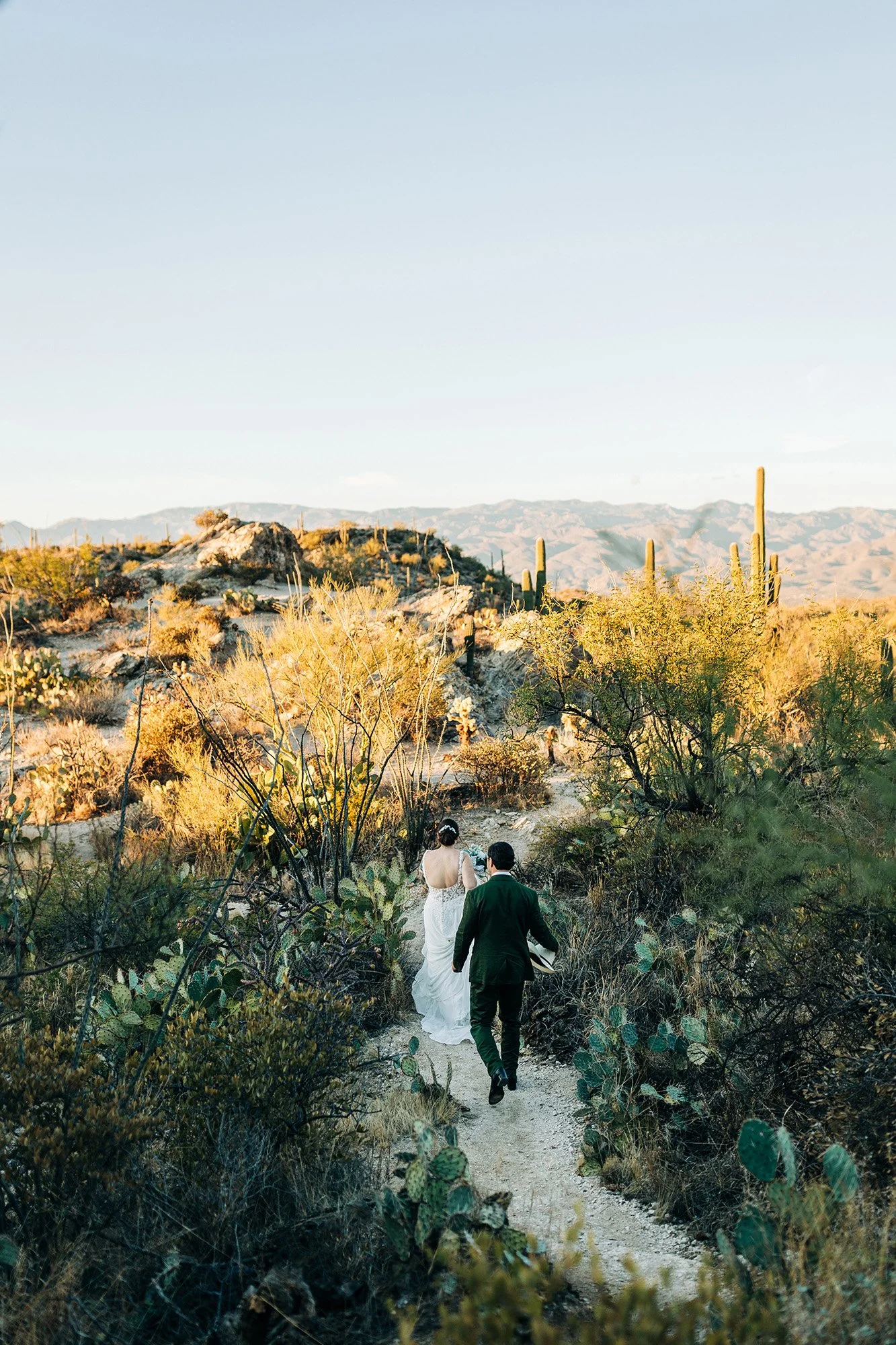 how-have-hiking-wedding-elopement-29.jpg