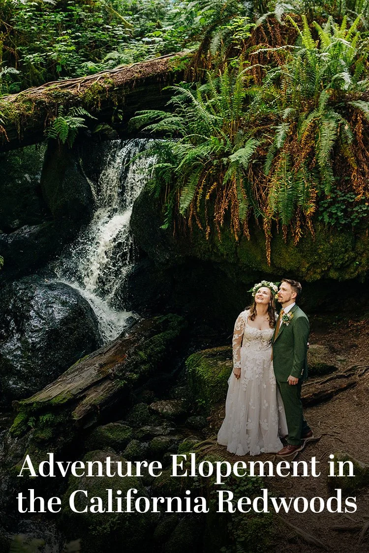 how-get-married-california-redwoods-25.jpg