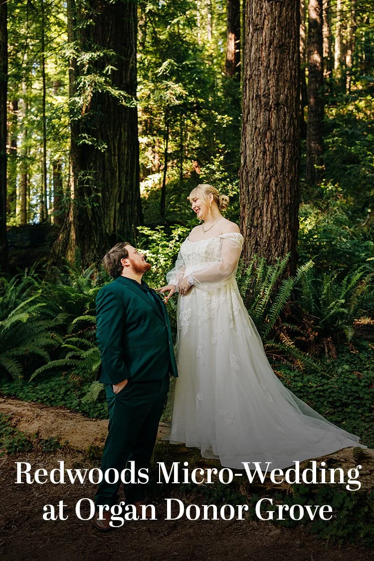 how-get-married-california-redwoods-26.jpg