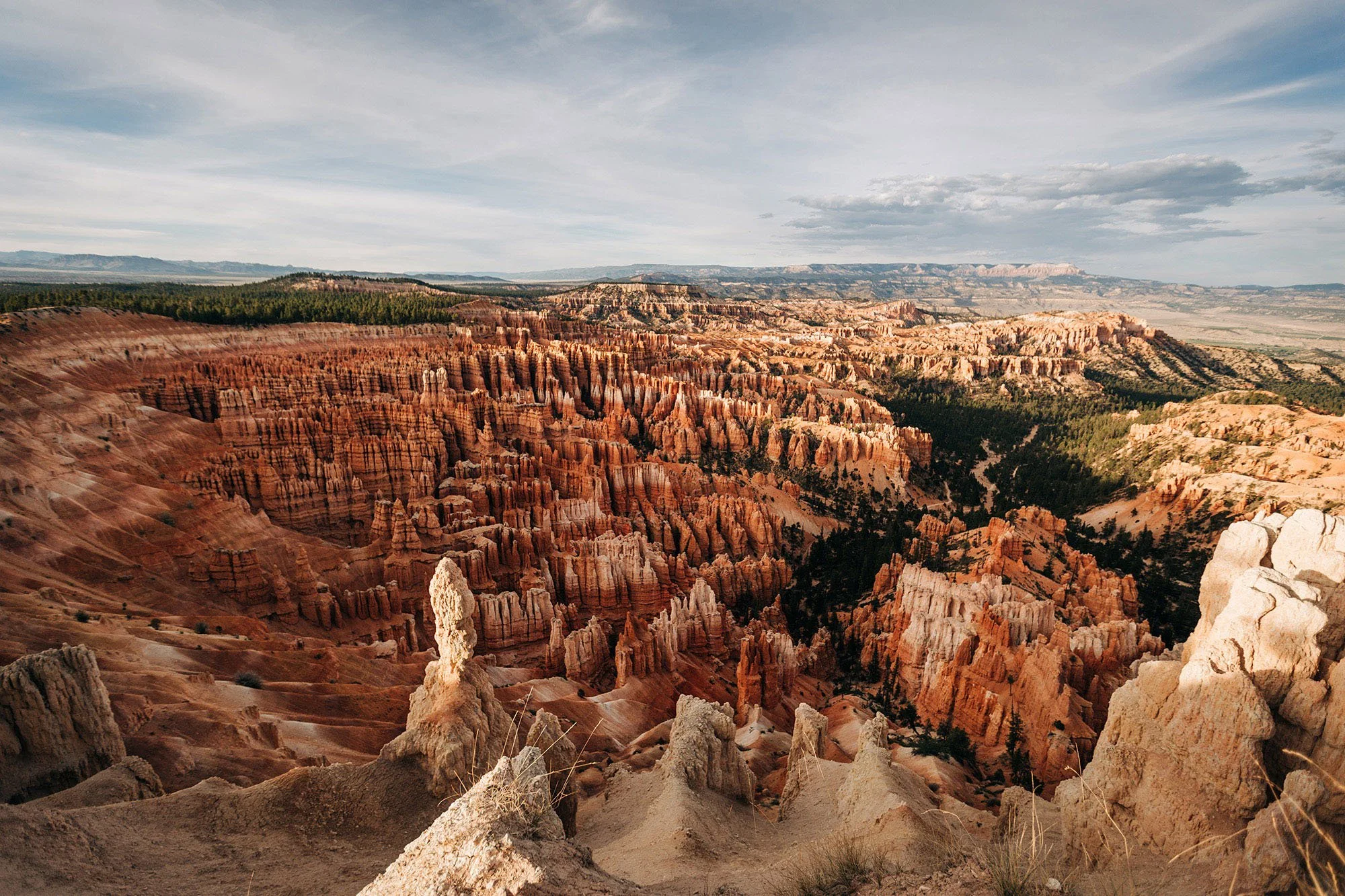 How to Elope in Bryce Canyon National Park
