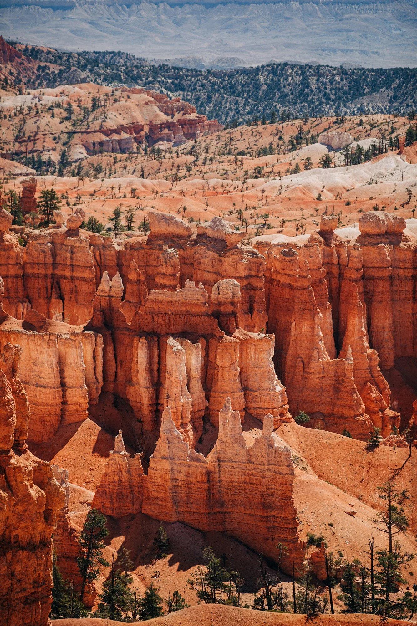 how-elope-bryce-canyon-national-park-9.jpg