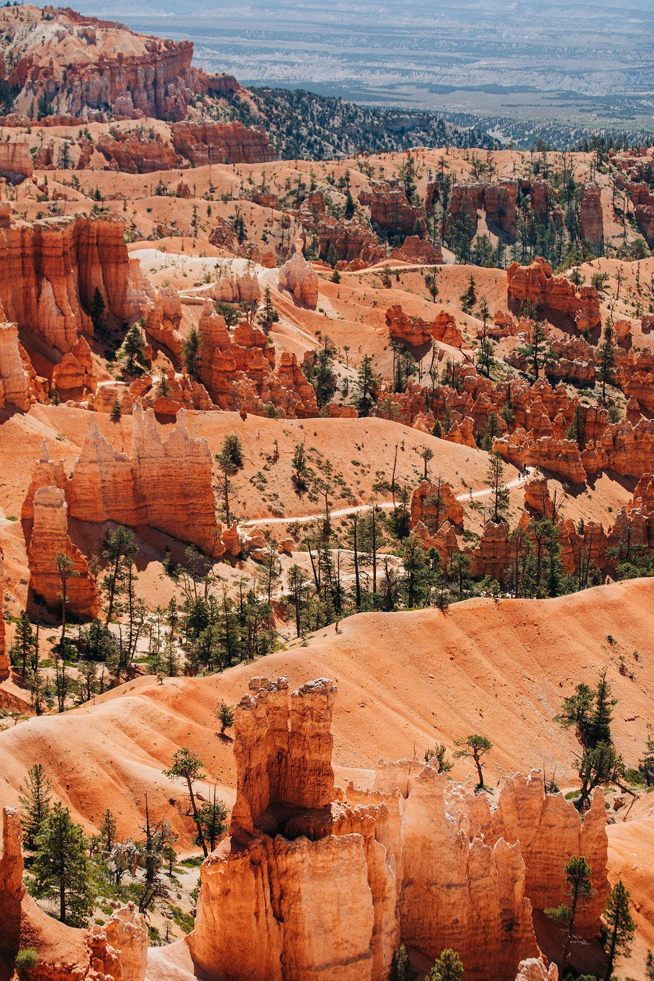 how-elope-bryce-canyon-national-park-8.jpg