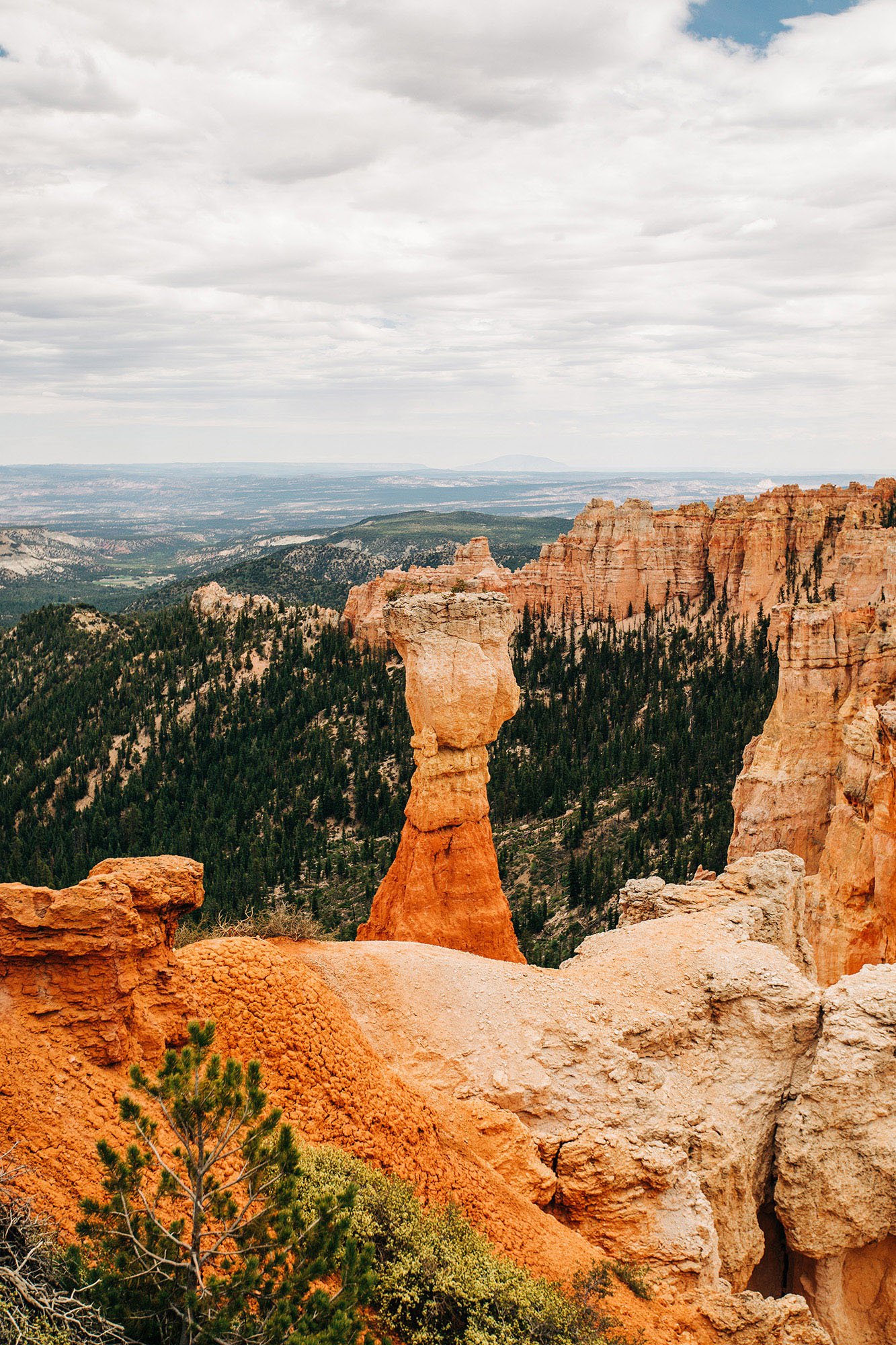 how-elope-bryce-canyon-national-park-29.jpg