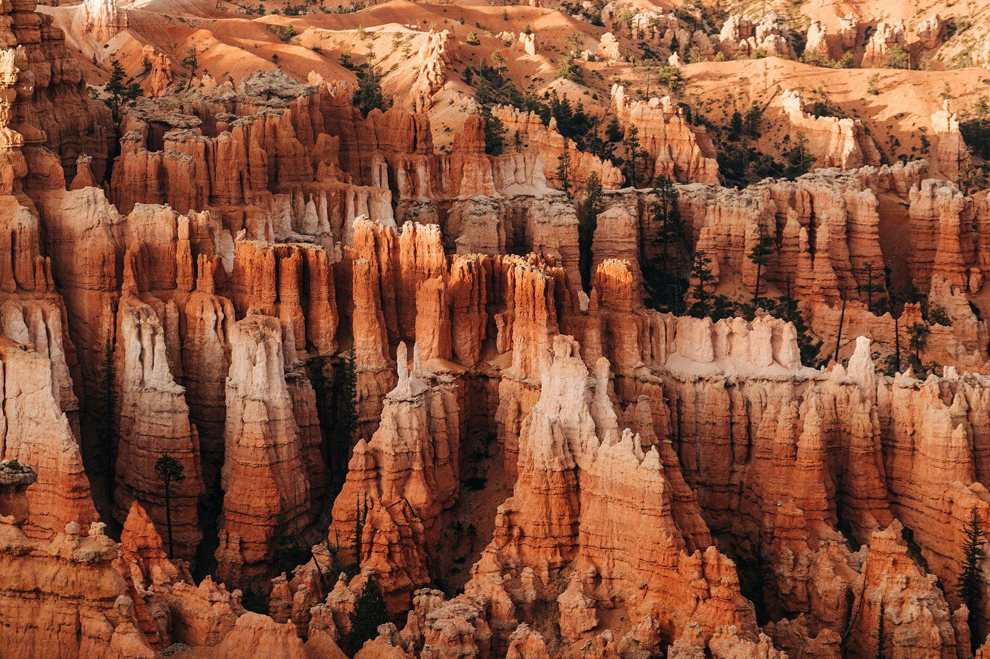 how-elope-bryce-canyon-national-park-15.jpg