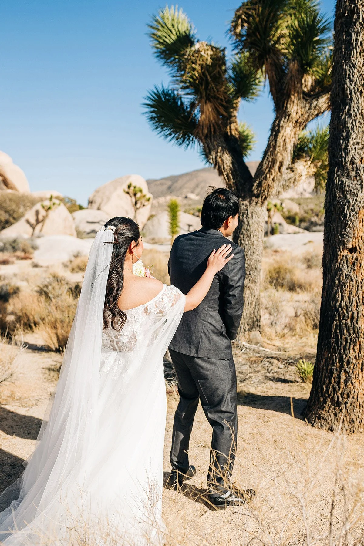 colorful-springtime-wedding-hidden-valley-joshua-tree-46.jpg