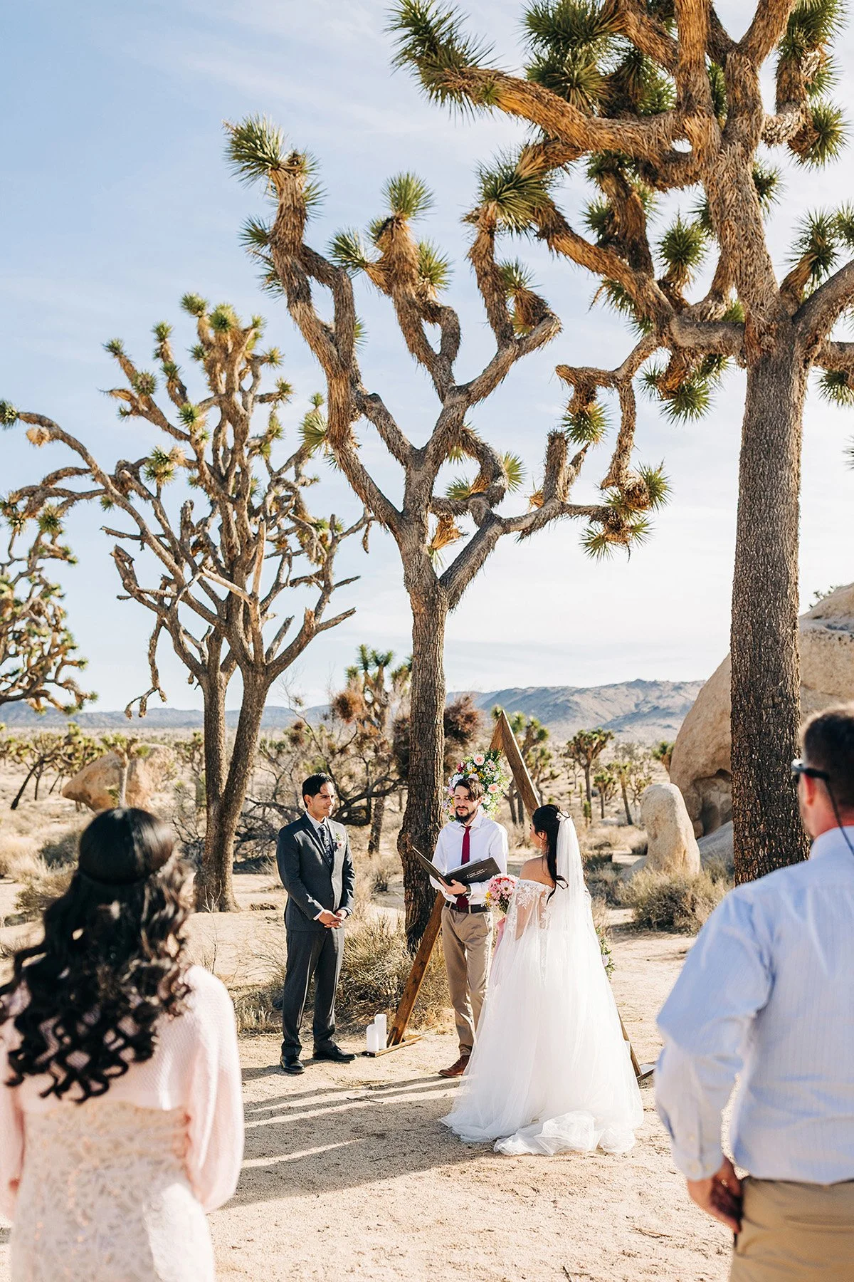 colorful-springtime-wedding-hidden-valley-joshua-tree-58.jpg