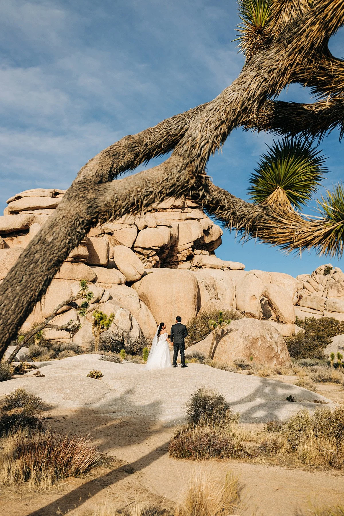 colorful-springtime-wedding-hidden-valley-joshua-tree-87.jpg