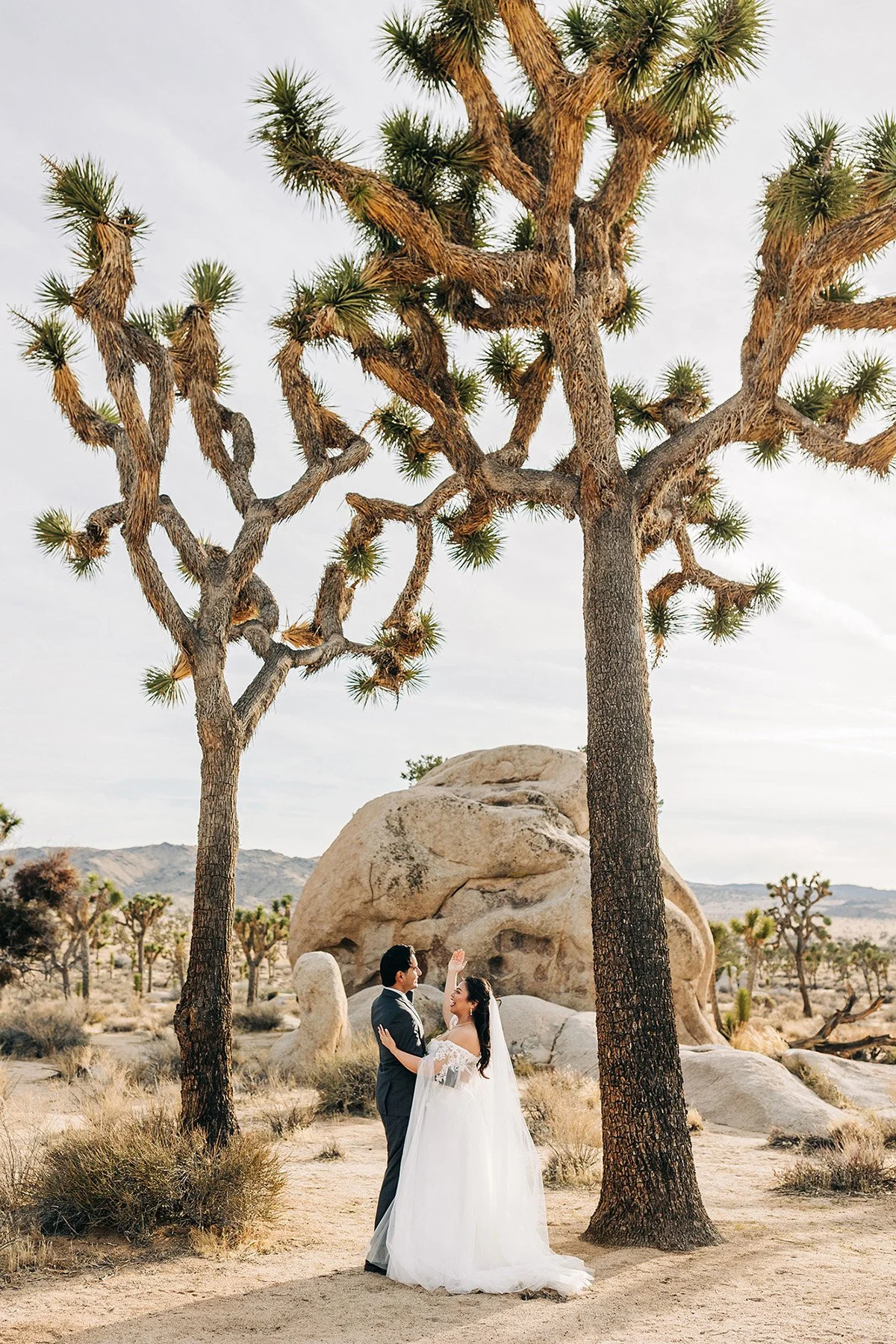 colorful-springtime-wedding-hidden-valley-joshua-tree-90.jpg