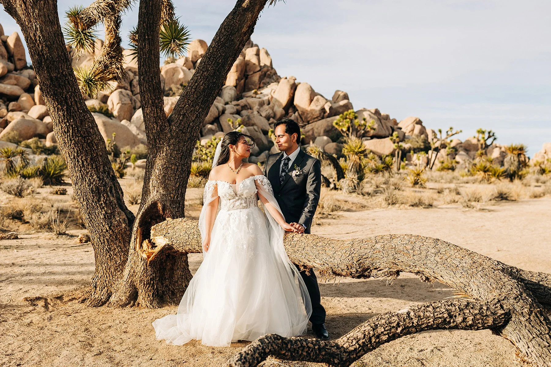 colorful-springtime-wedding-hidden-valley-joshua-tree-103.jpg