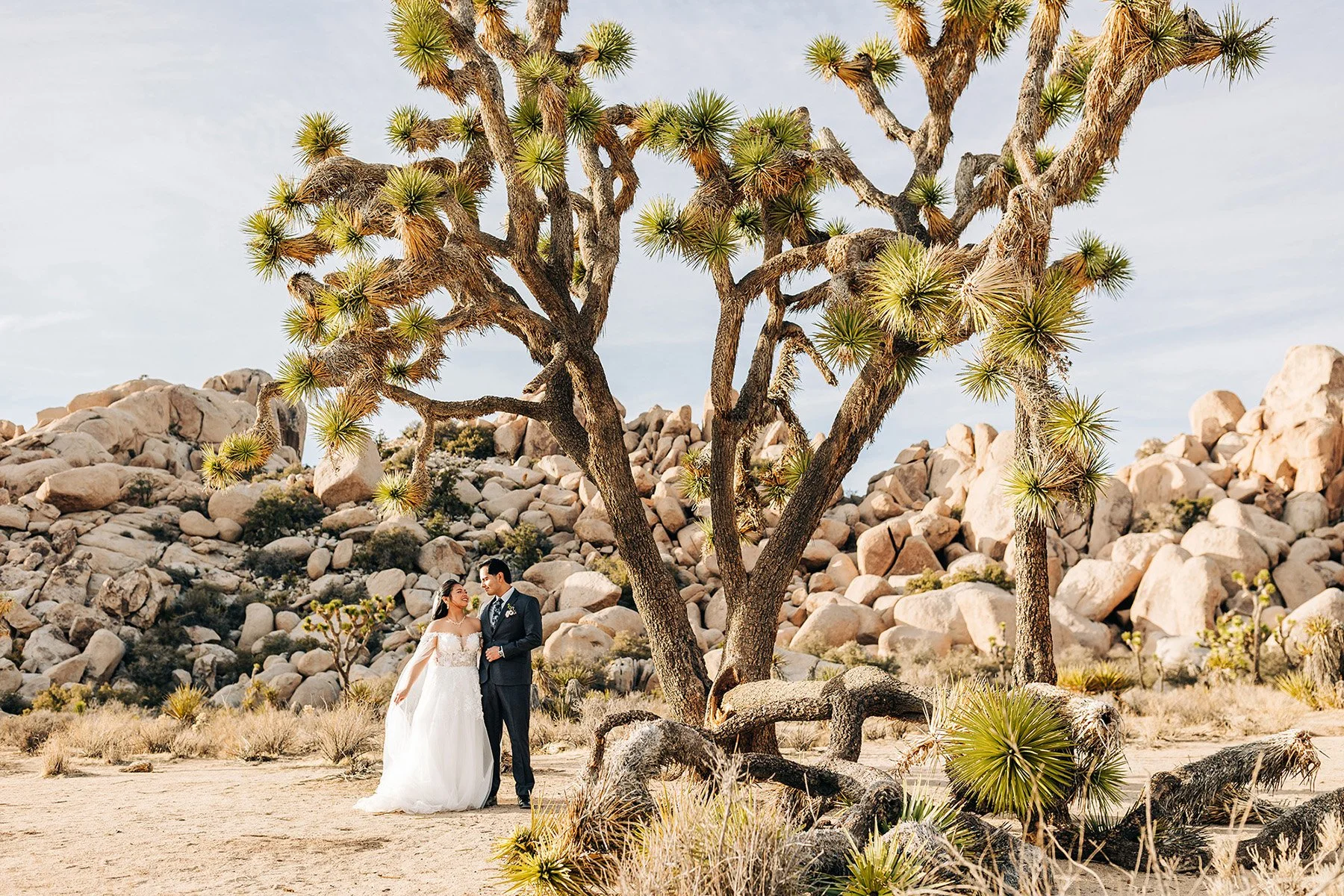 colorful-springtime-wedding-hidden-valley-joshua-tree-101.jpg