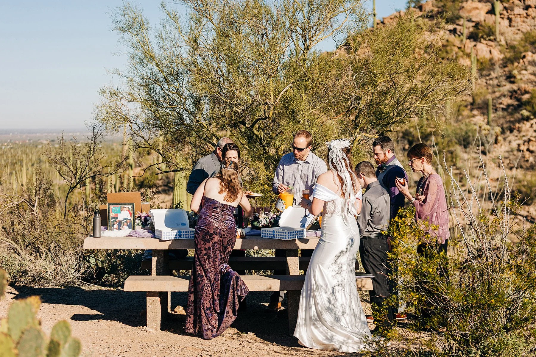 intimate-wedding-sus-picnic-area-87.jpg