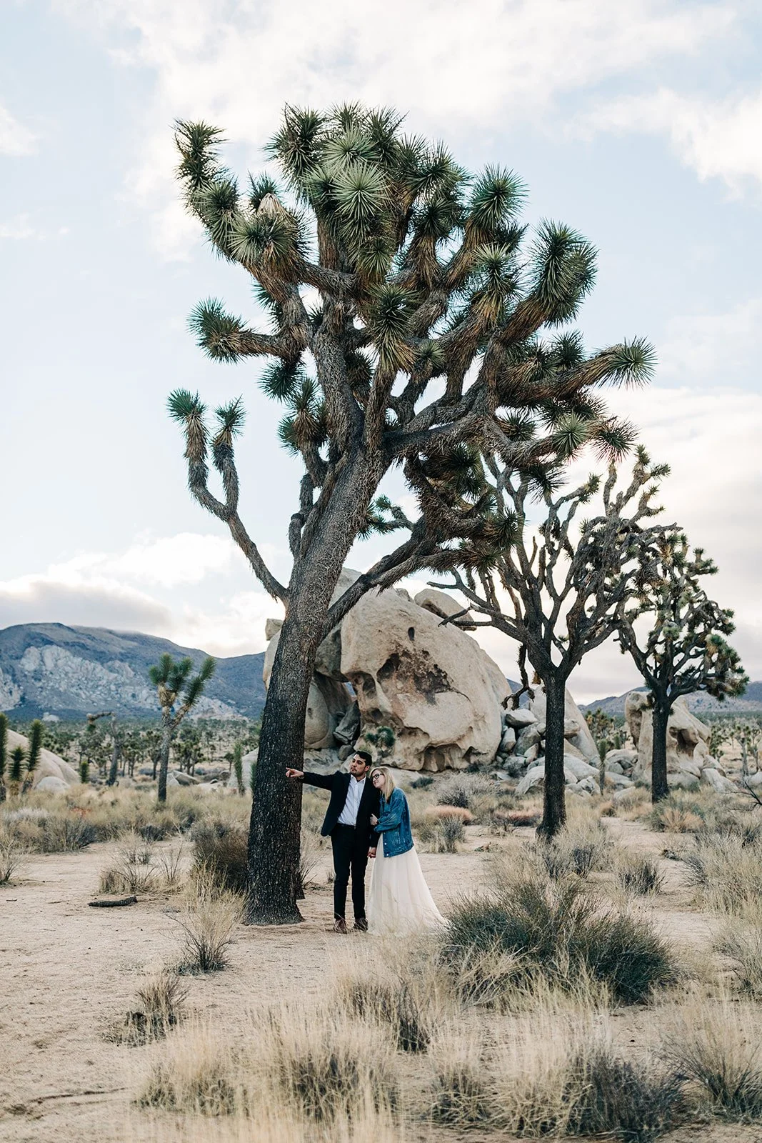 joshua-tree-couples-session-6.jpg