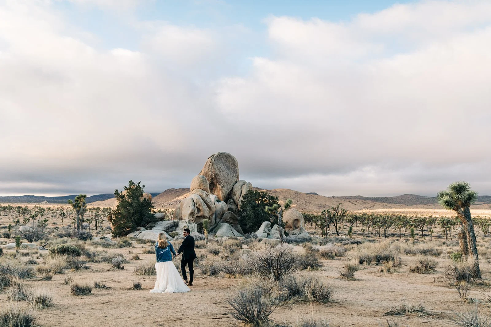 joshua-tree-couples-session-22.jpg