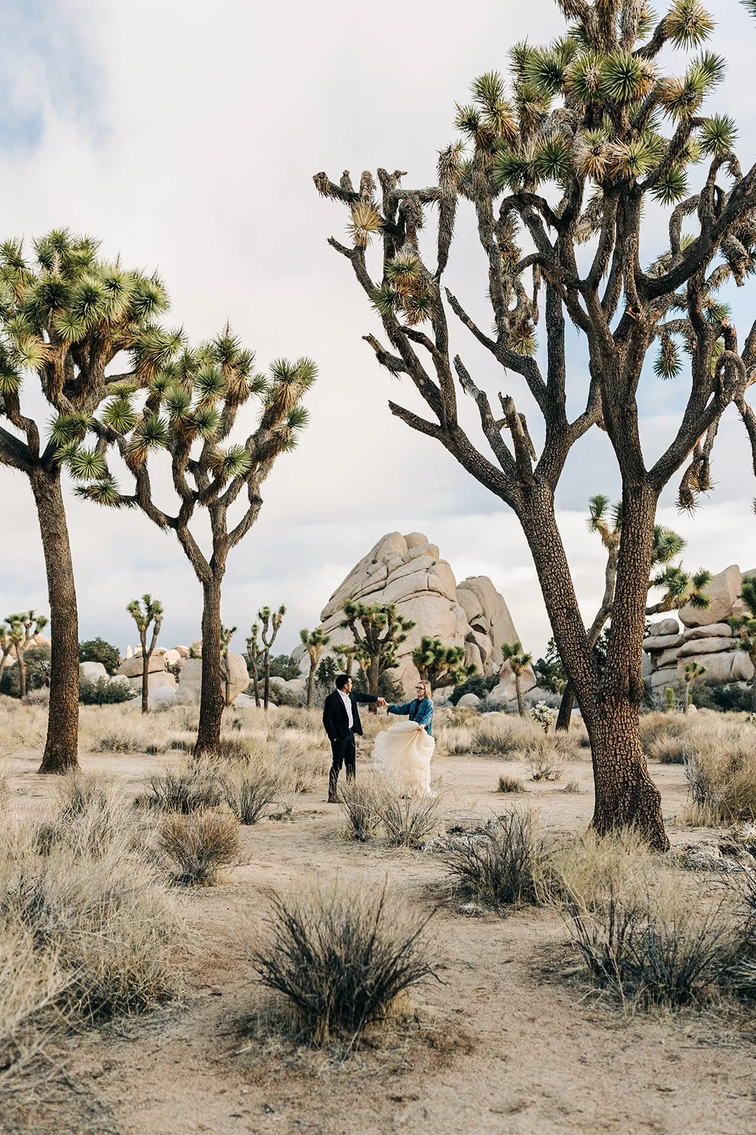 joshua-tree-couples-session-36.jpg