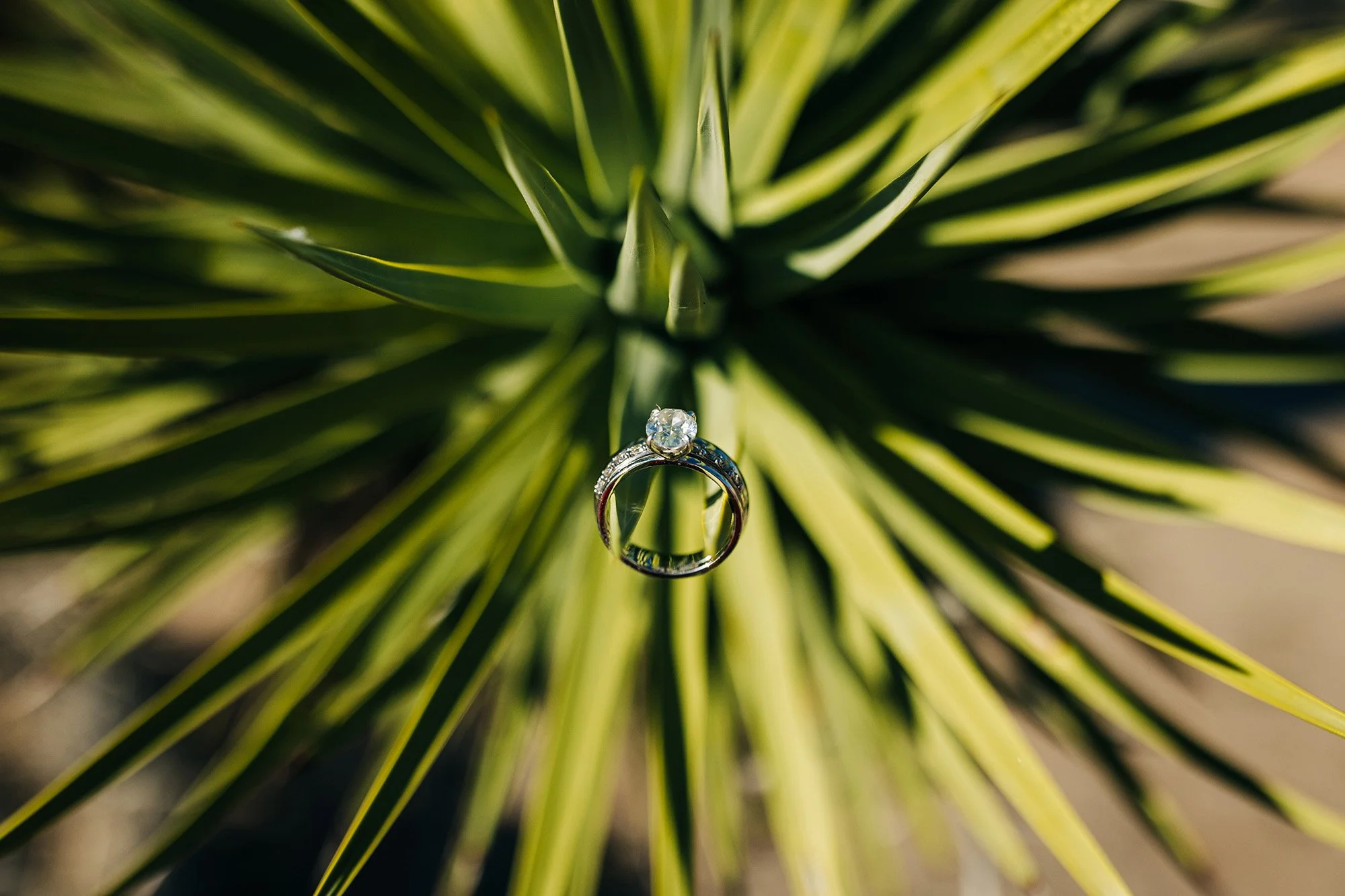 split-rock-elopement-with-friends-60.jpg