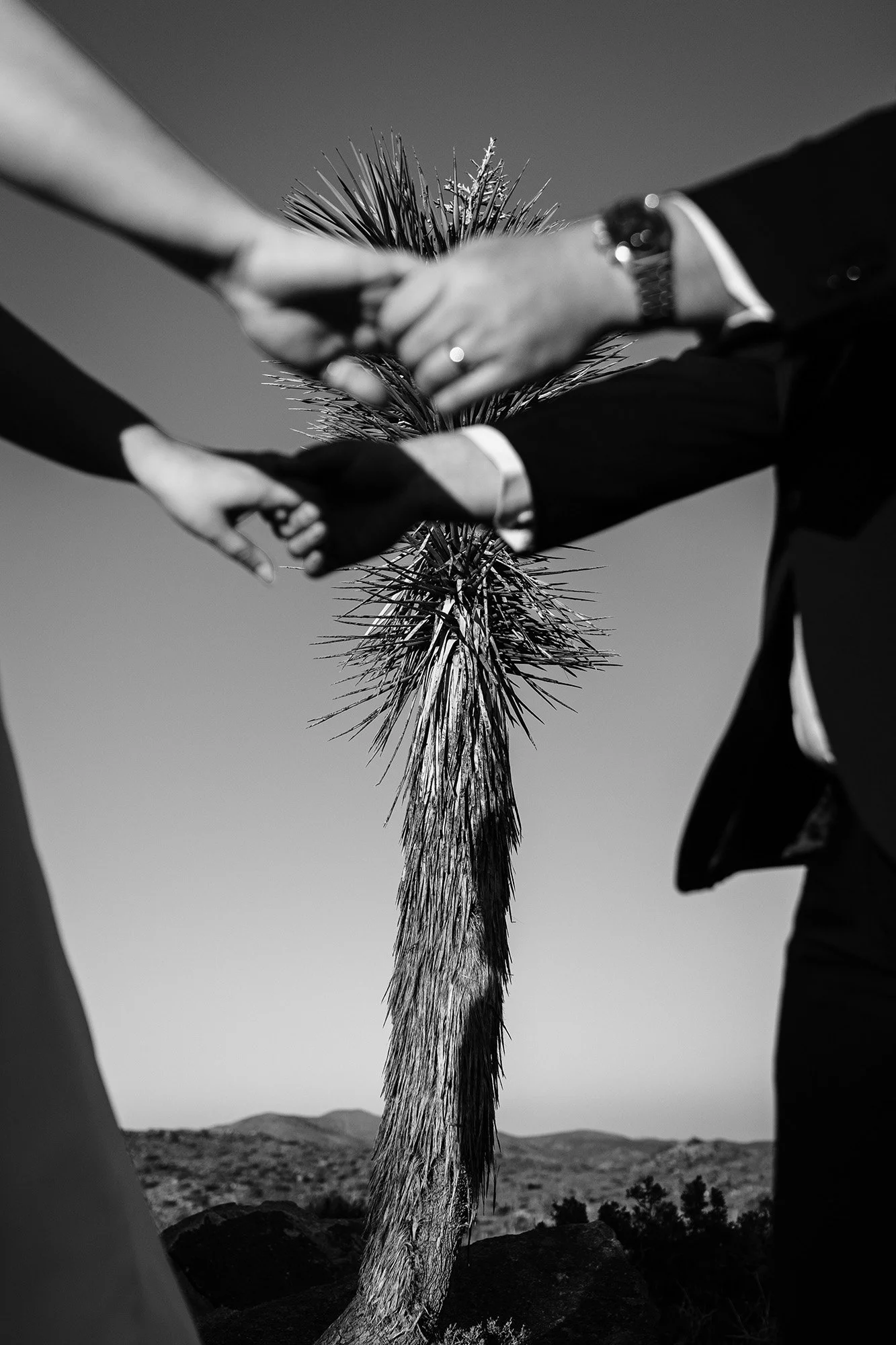 split-rock-elopement-with-friends-97.jpg