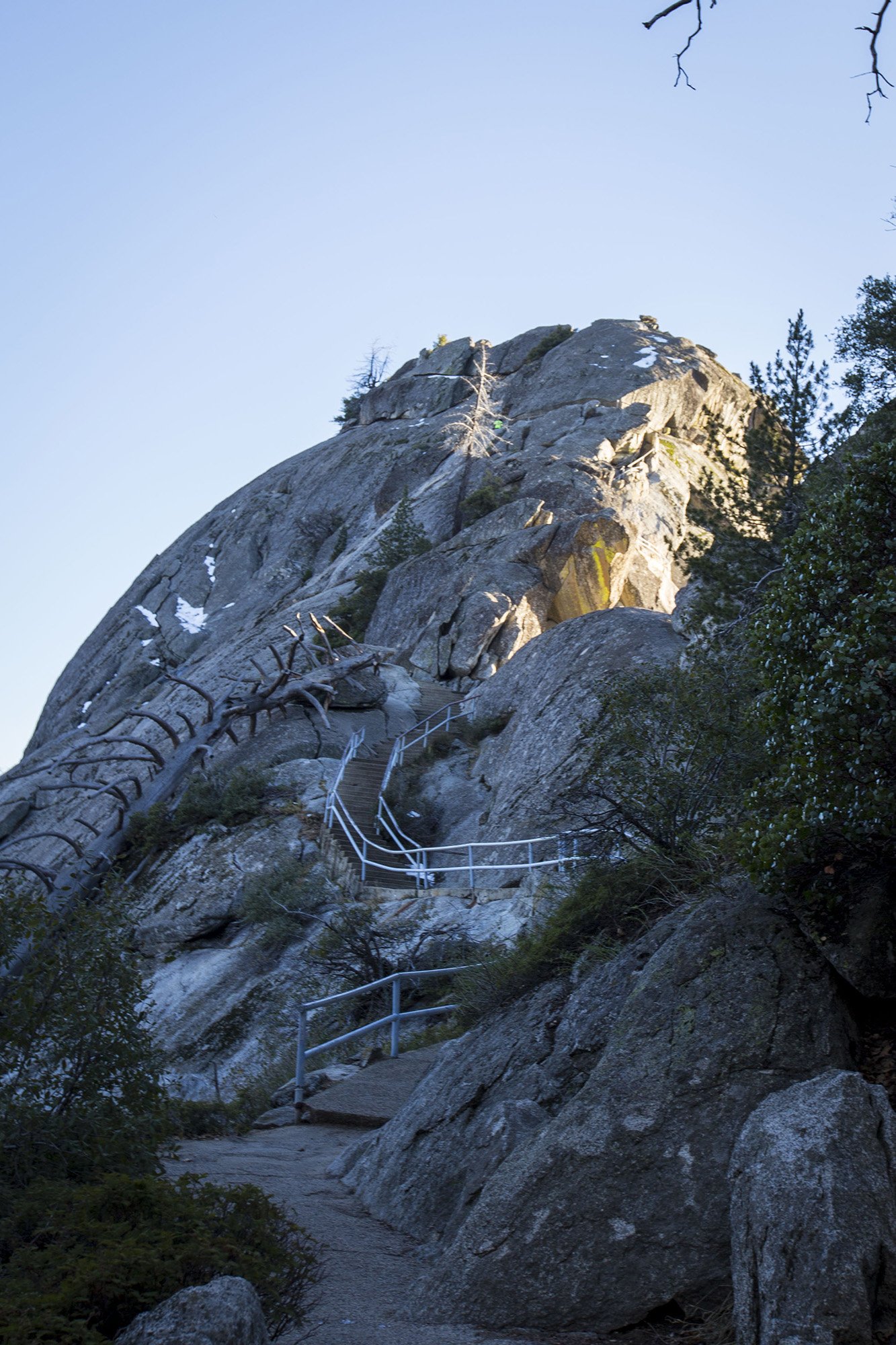 how-elope-sequoia-national-park-10.jpg