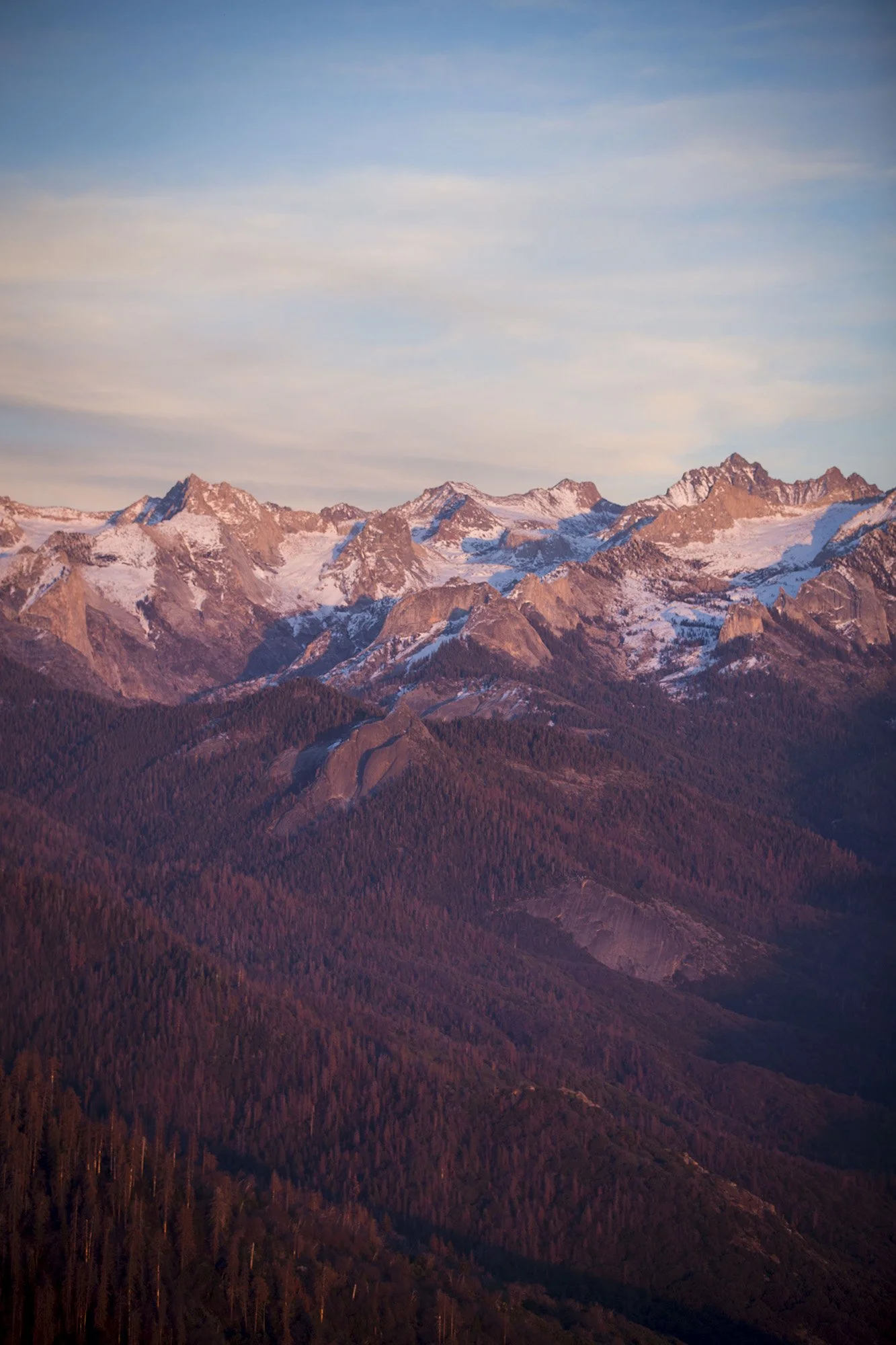 how-elope-sequoia-national-park-14.jpg
