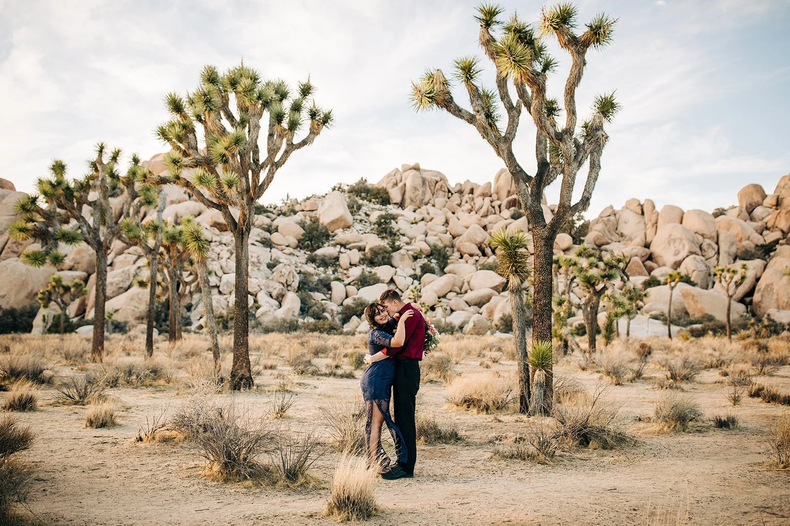 Joshua Tree Marriage Proposals: Everything to Know!