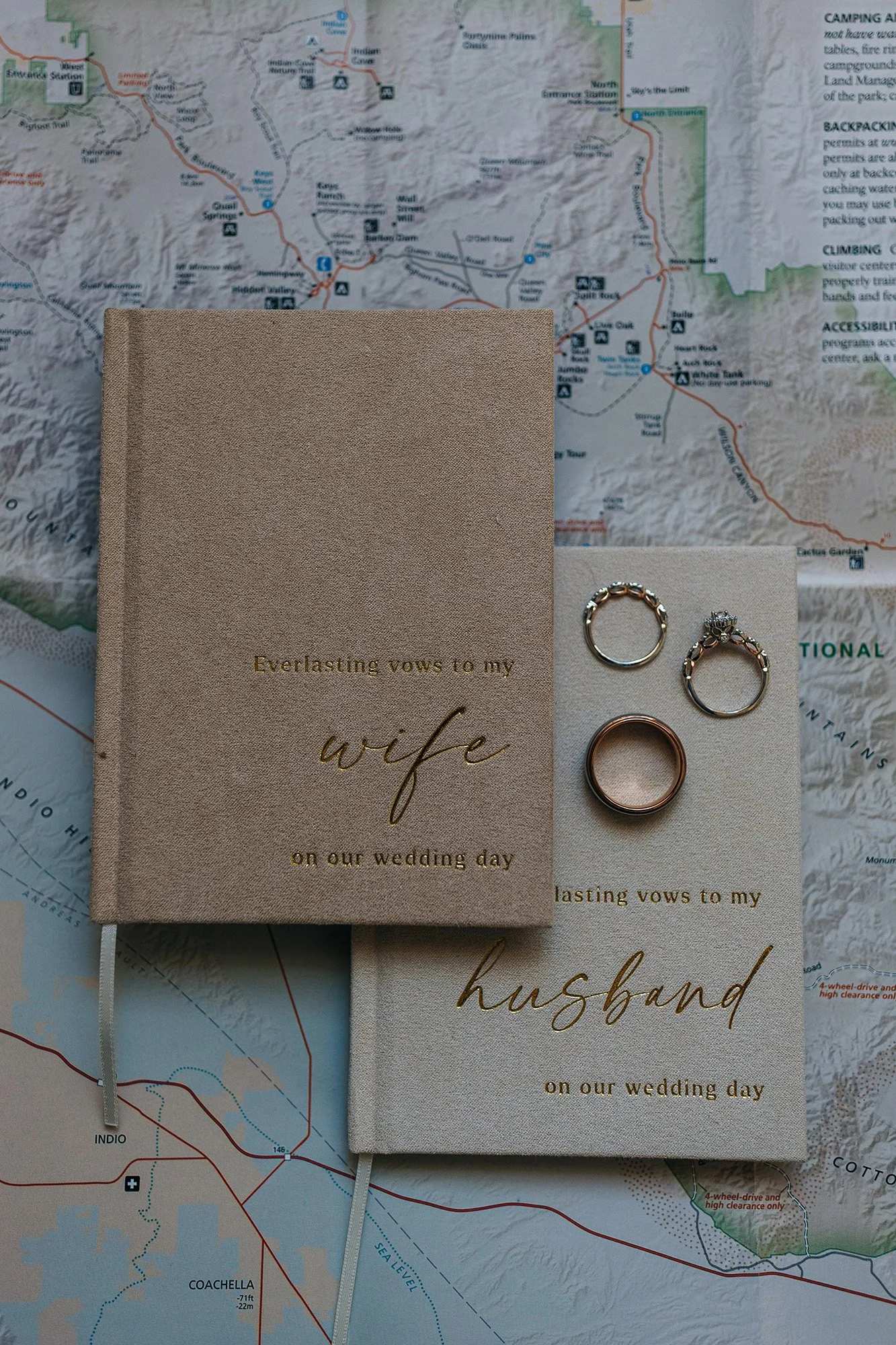 pink-gold-florals-joshua-tree-elopement-1.jpg