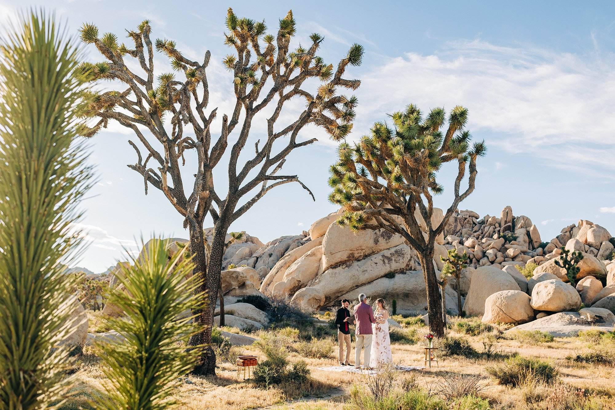 pink-gold-florals-joshua-tree-elopement-33.jpg