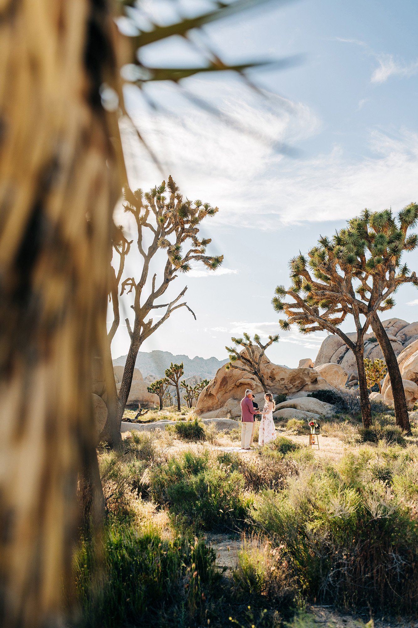 pink-gold-florals-joshua-tree-elopement-38.jpg