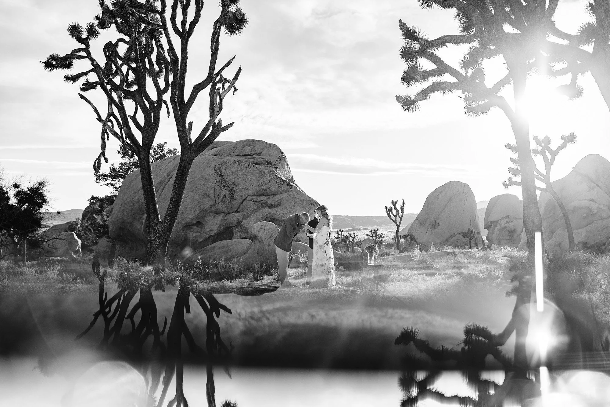 pink-gold-florals-joshua-tree-elopement-45.jpg