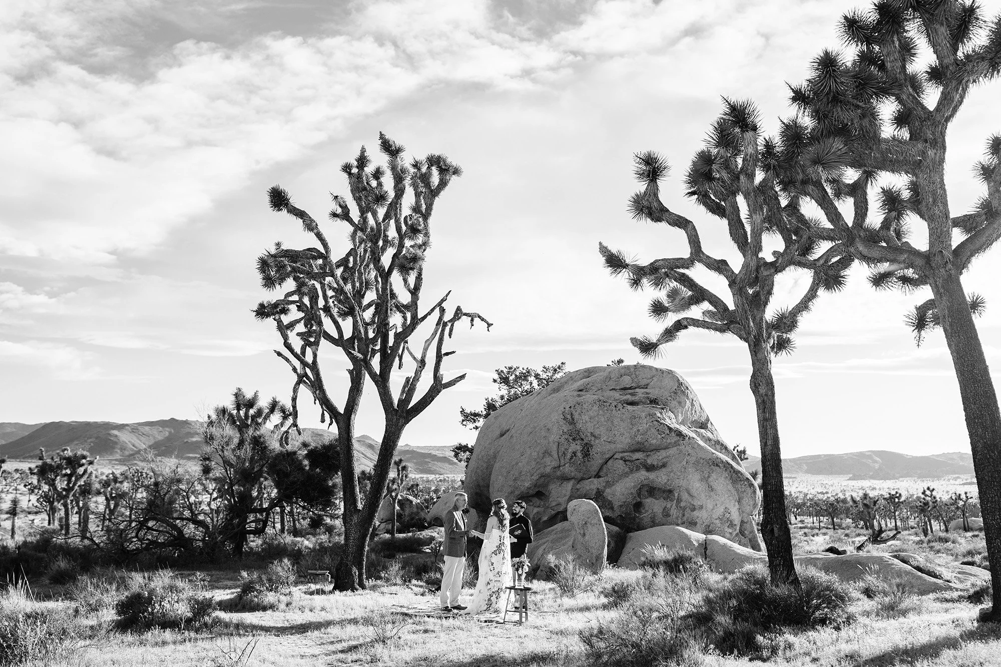 pink-gold-florals-joshua-tree-elopement-37.jpg