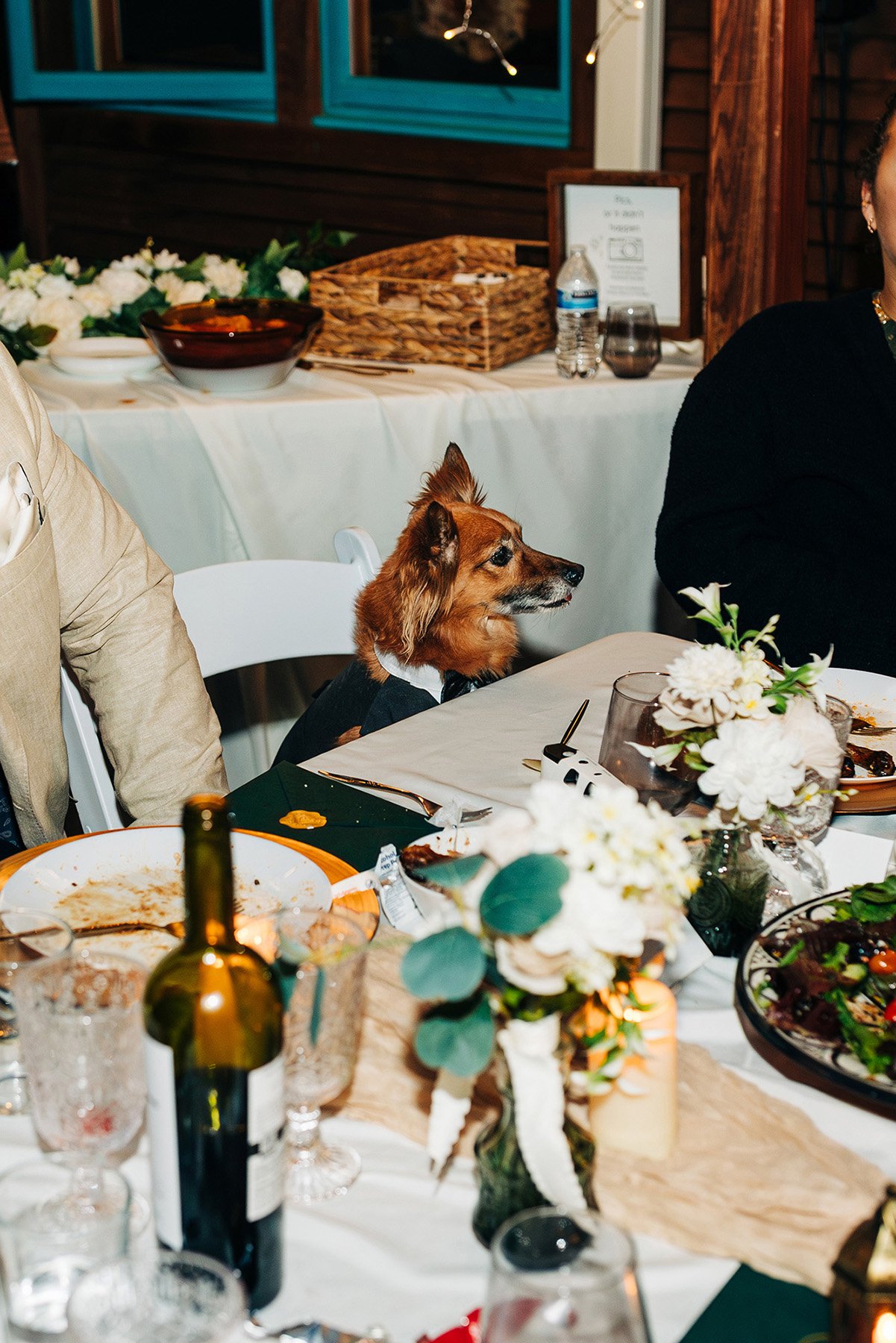 idyllwild-cabin-wedding-121.jpg
