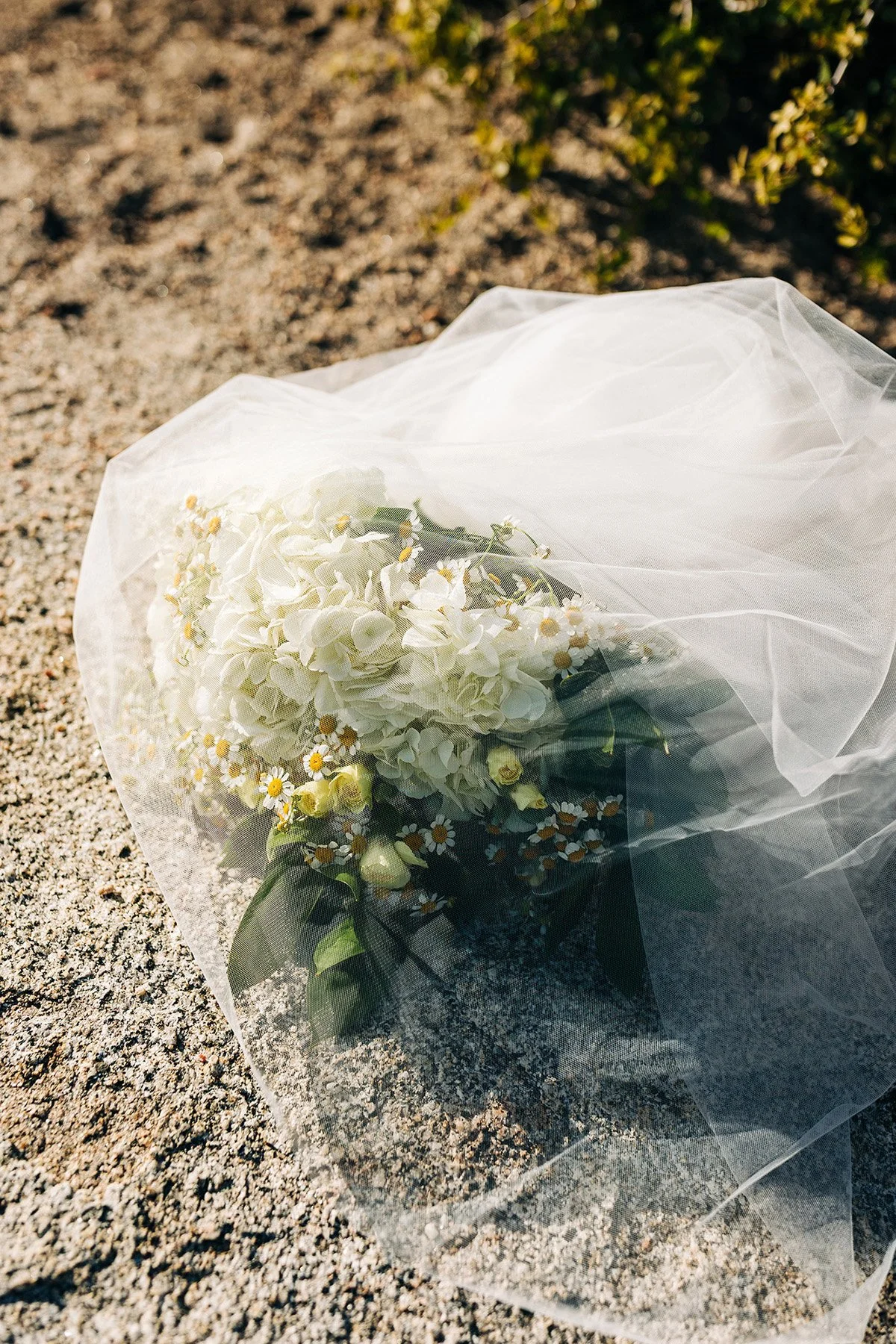idyllwild-cabin-wedding-73.jpg