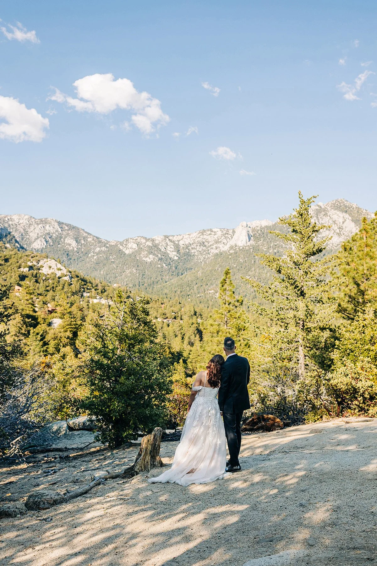 idyllwild-cabin-wedding-98.jpg