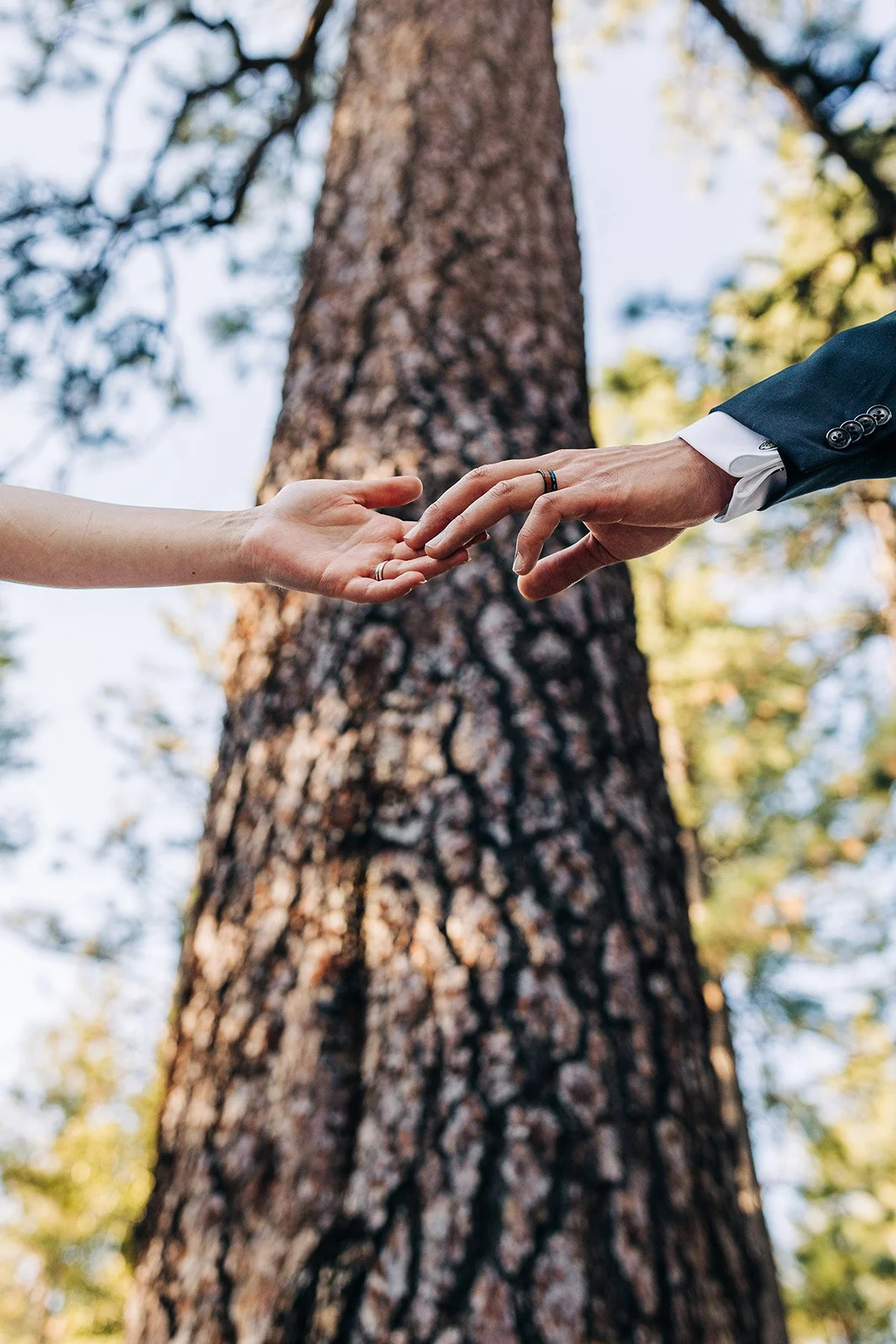 idyllwild-cabin-wedding-104.jpg