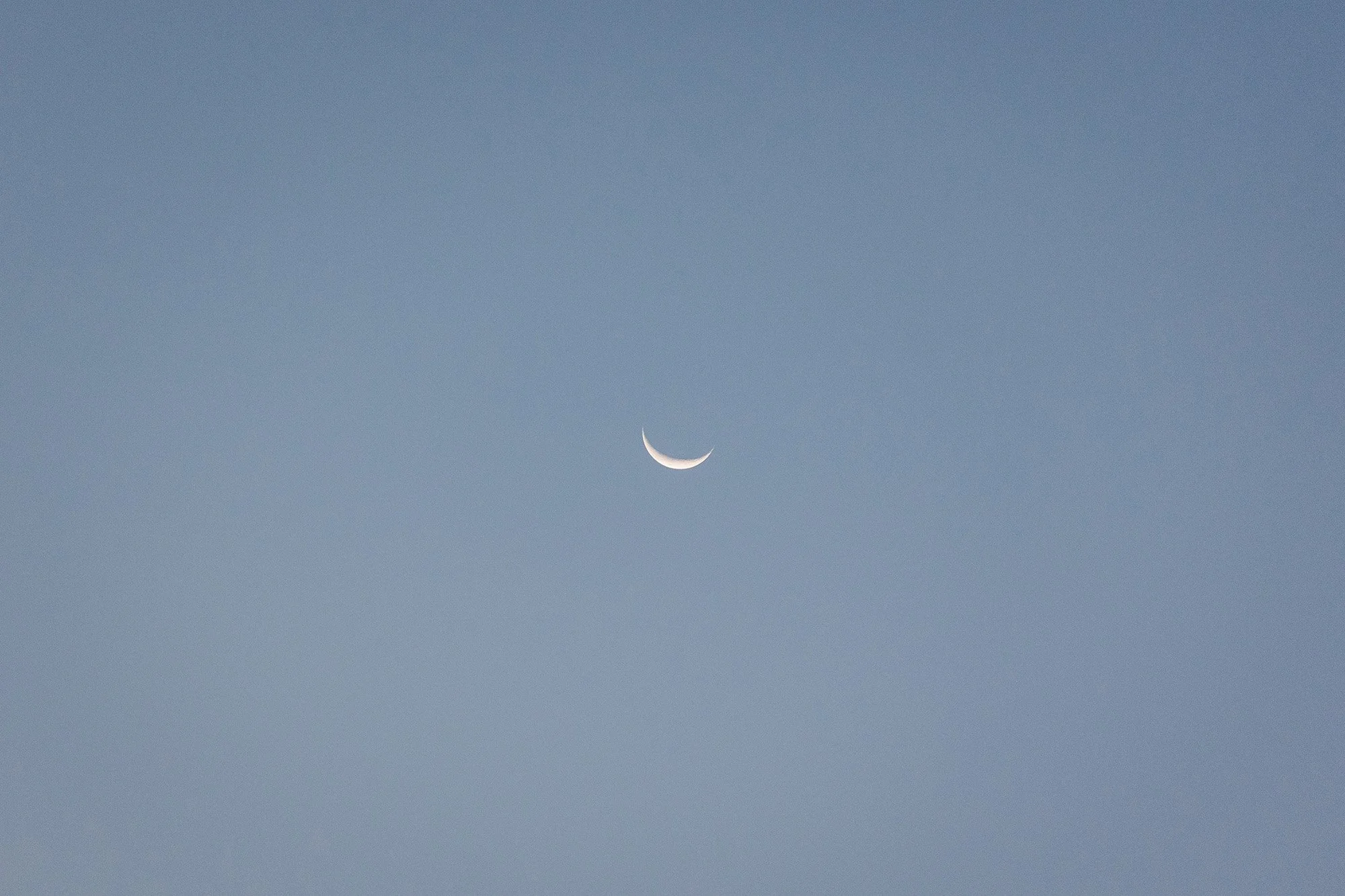 simple-sunrise-elopement-morongo-valley-4.jpg
