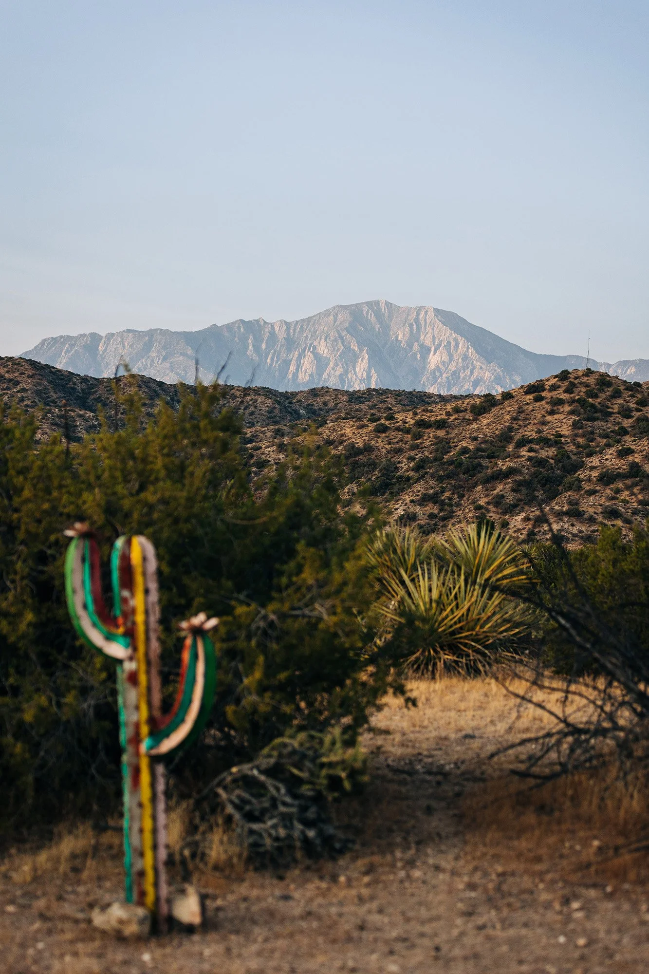 simple-sunrise-elopement-morongo-valley-16.jpg