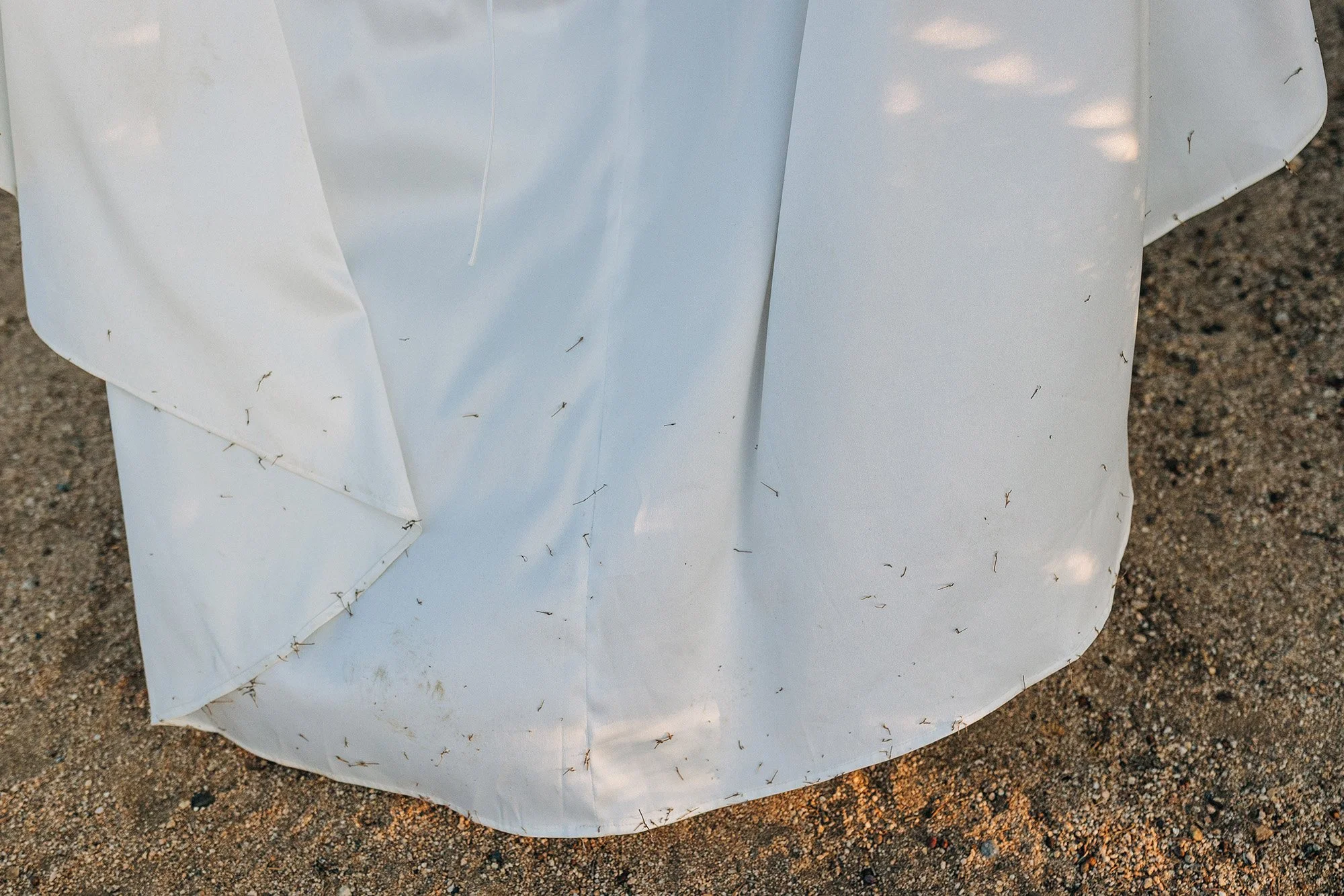 simple-sunrise-elopement-morongo-valley-19.jpg