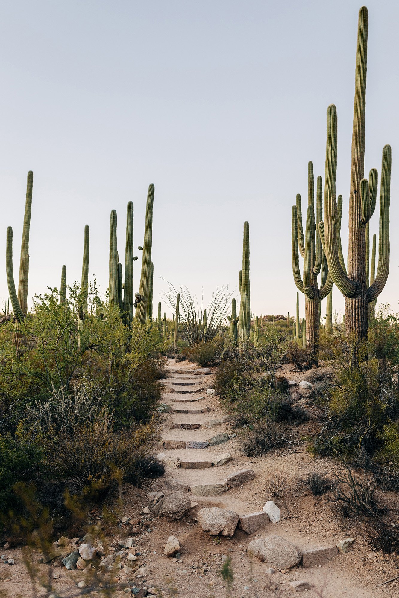 emotional-intimate-religious-wedding-saguaro-national-park-95.jpg