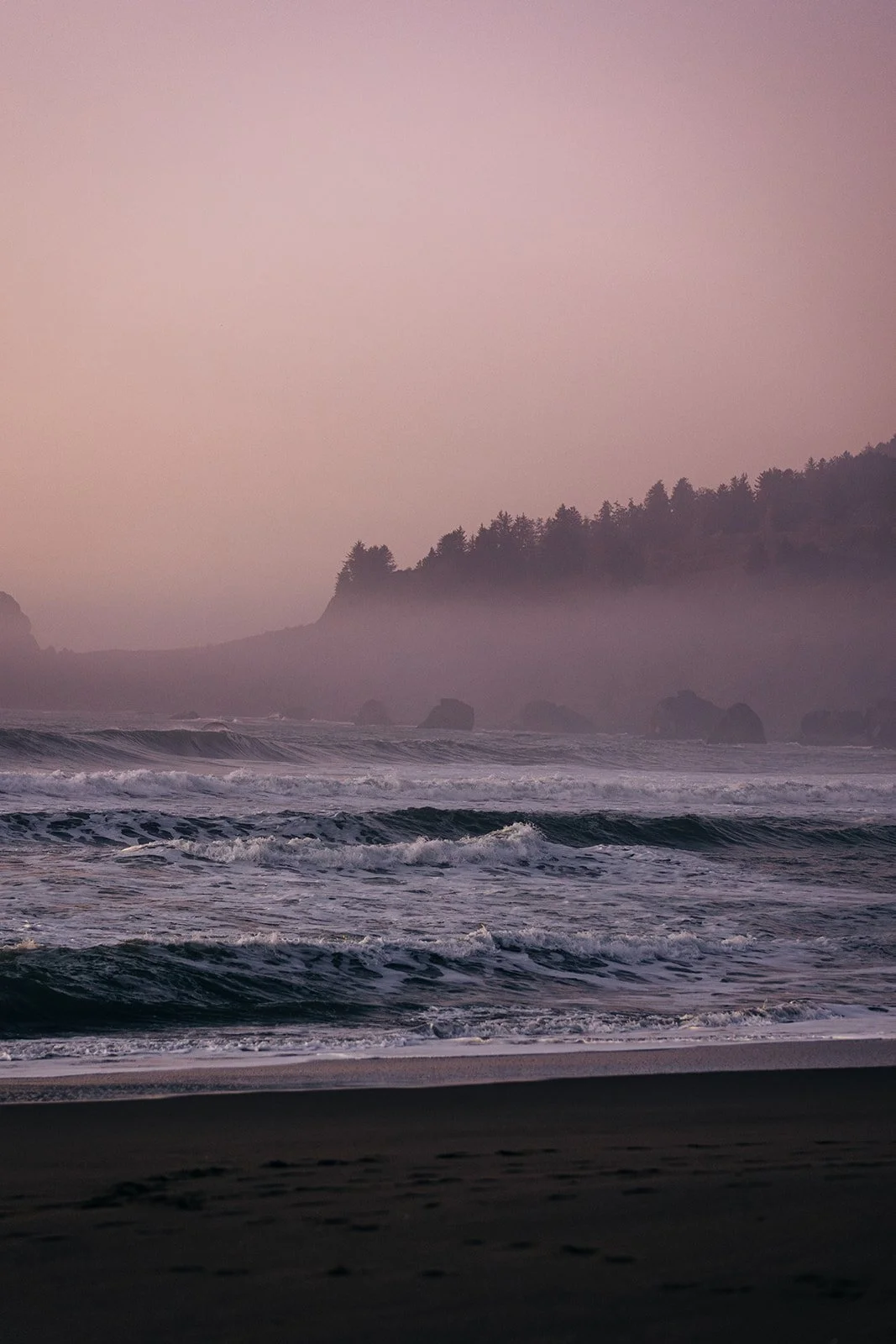 secret-redwoods-national-park-elopement-95.jpg
