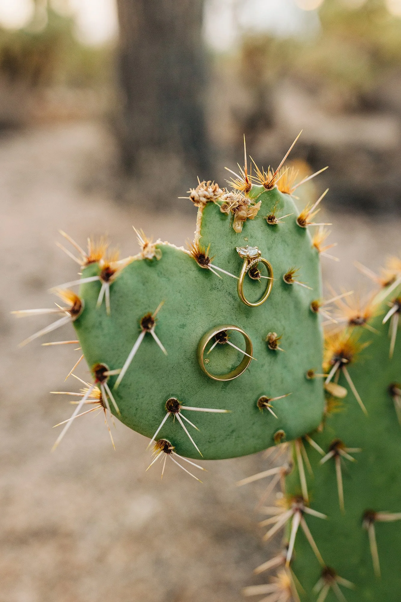 stormy-summer-desert-elopement-tucson-101.jpg