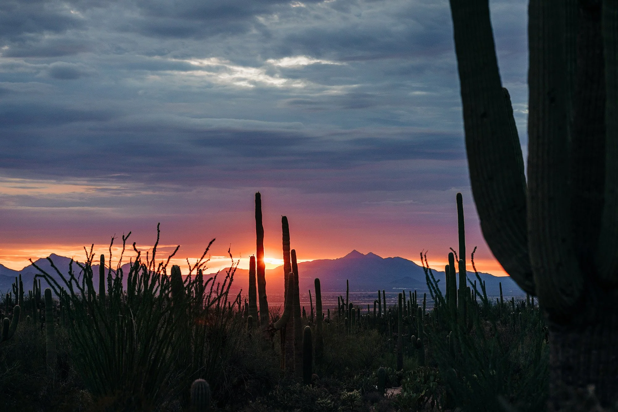 stormy-summer-desert-elopement-tucson-133.jpg