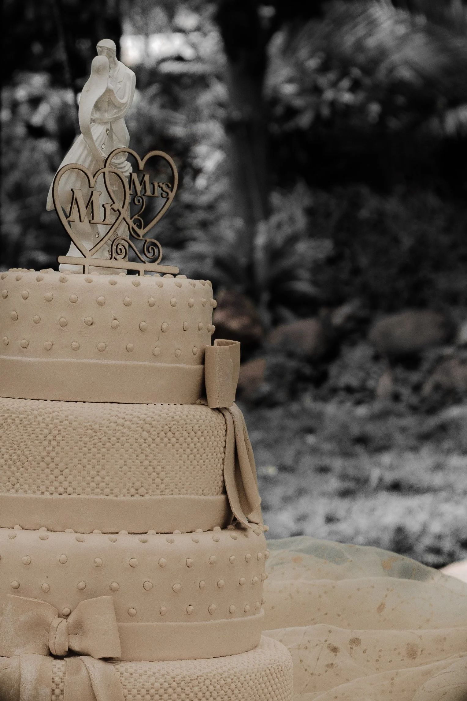 Vimbai & Never Wedding Piks-209.jpg
