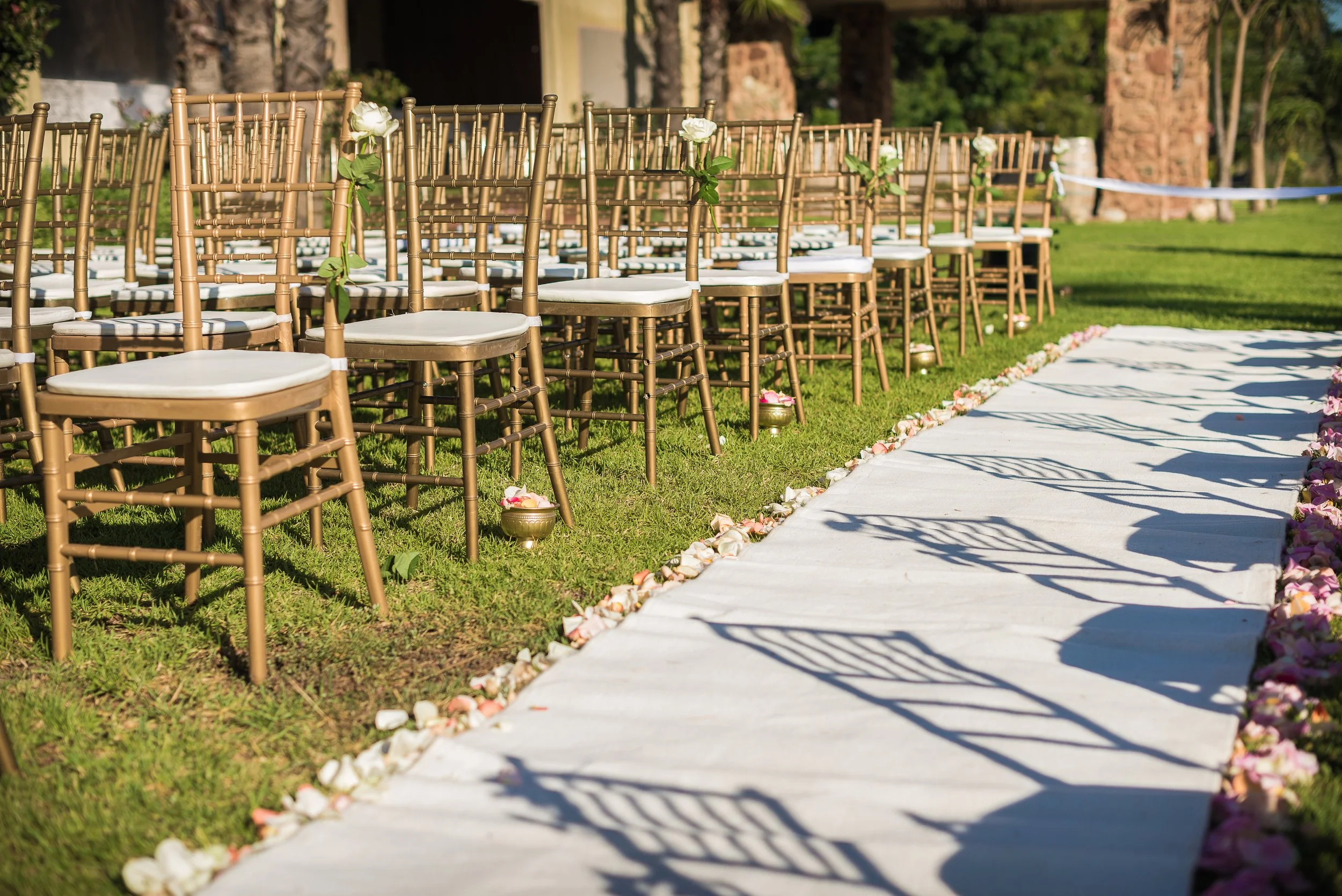 M&B Wedding Pics (35 of 890).jpg