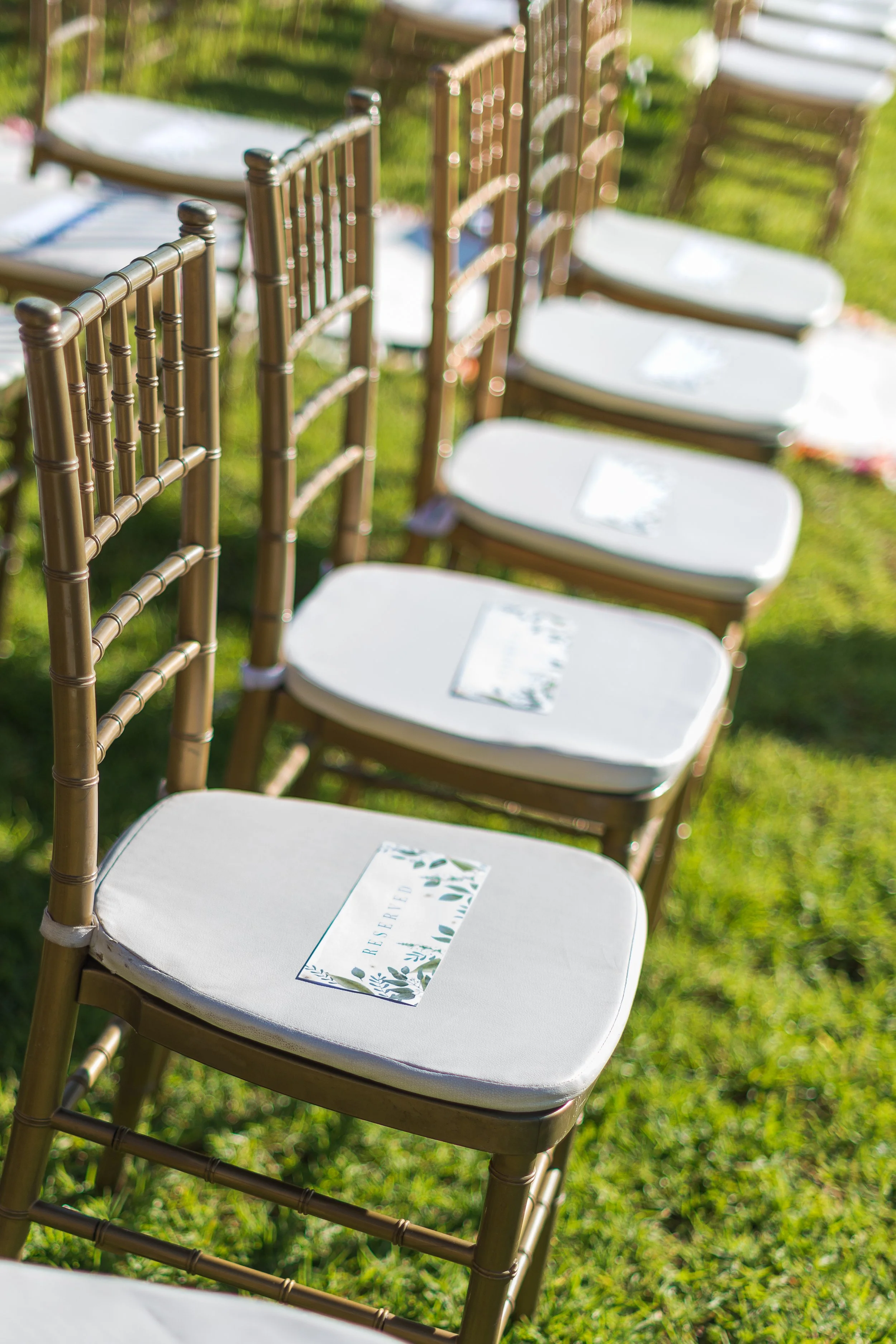 M&B Wedding Pics (31 of 890).jpg